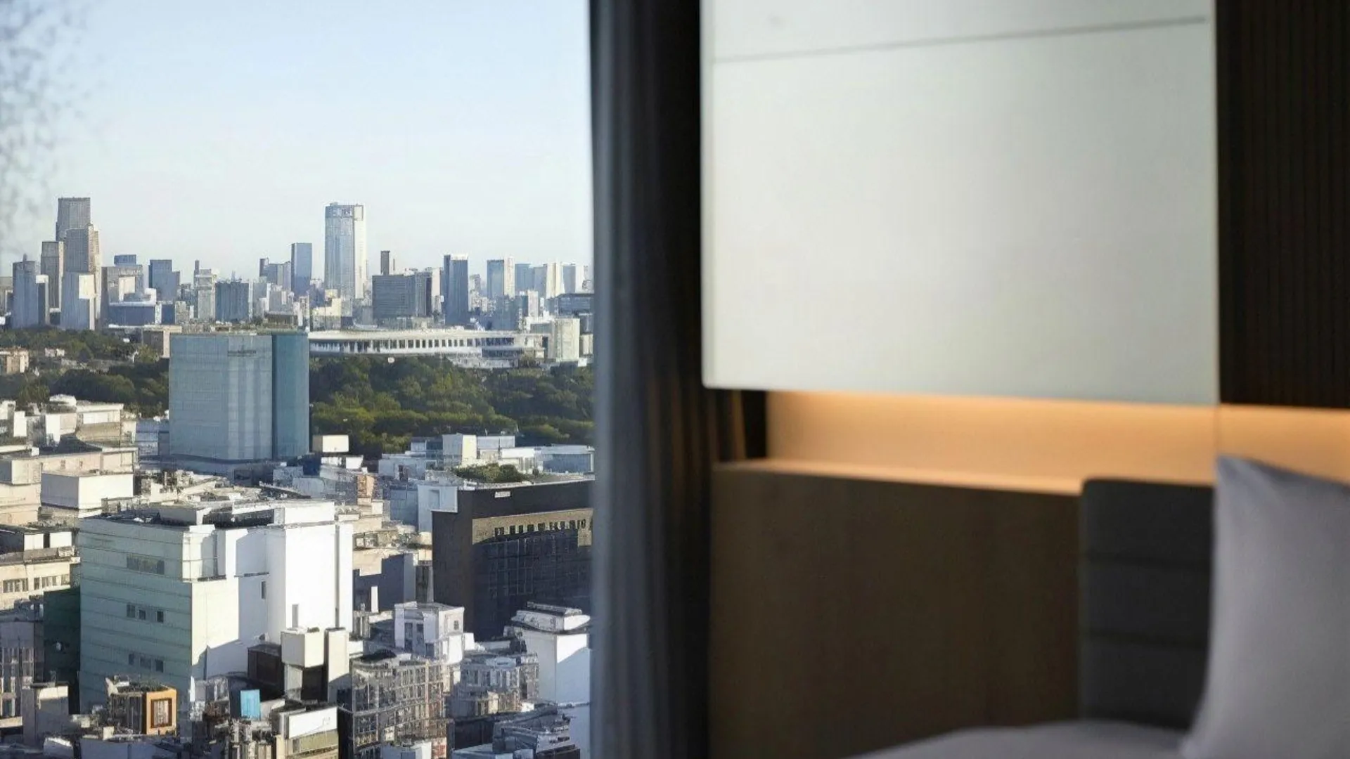 도쿄 / 동경 호텔 그루브 신주쿠, 어 파크로얄 호텔 4성급 호텔 수영장