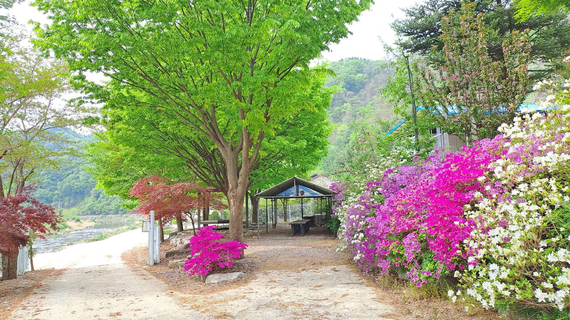 인제 인제 용늪펜션 1성급 게스트하우스 전망