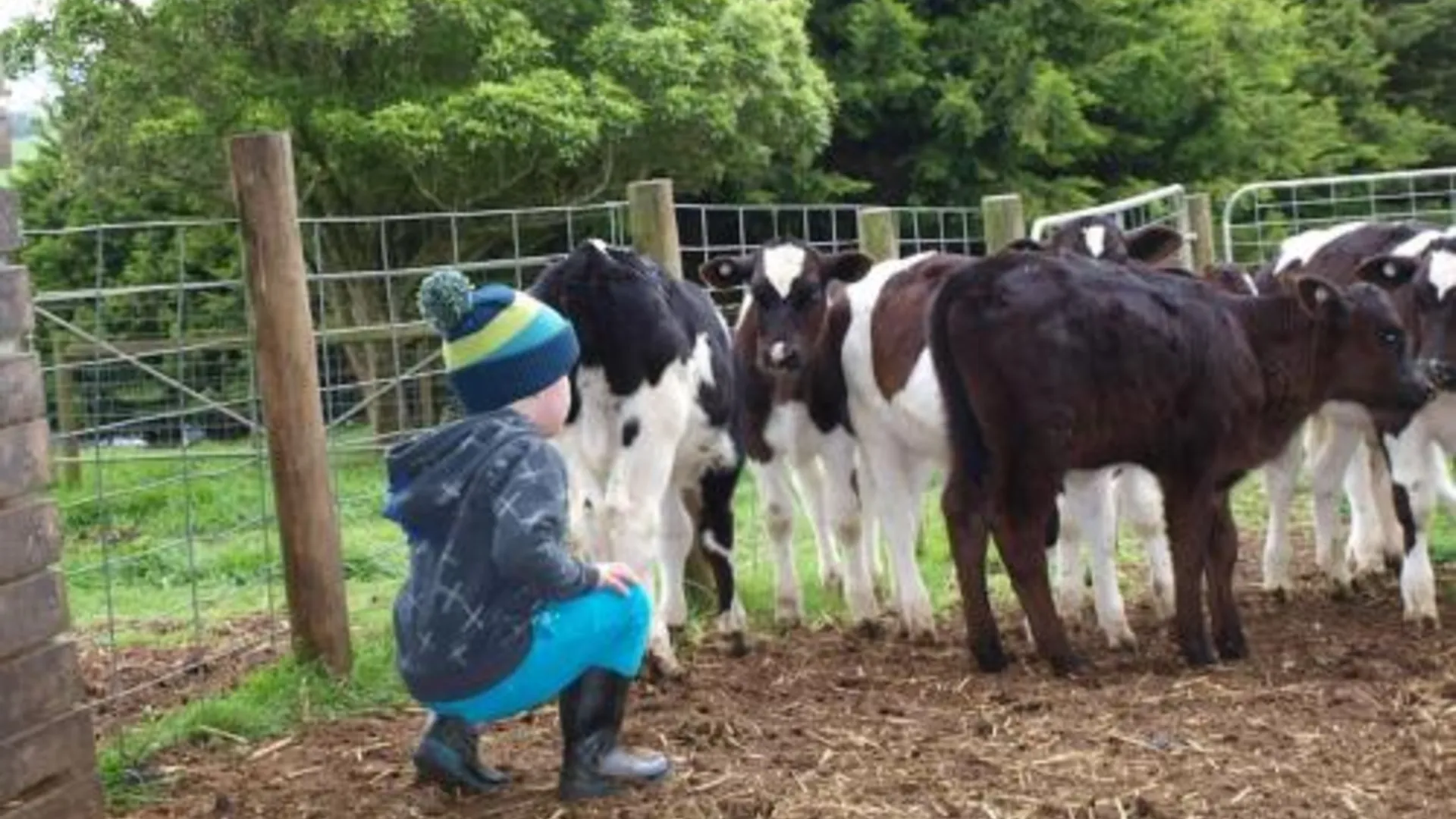 깁스랜드 지역 Manderley Park Farmstay B&B 5성급 호텔 객실