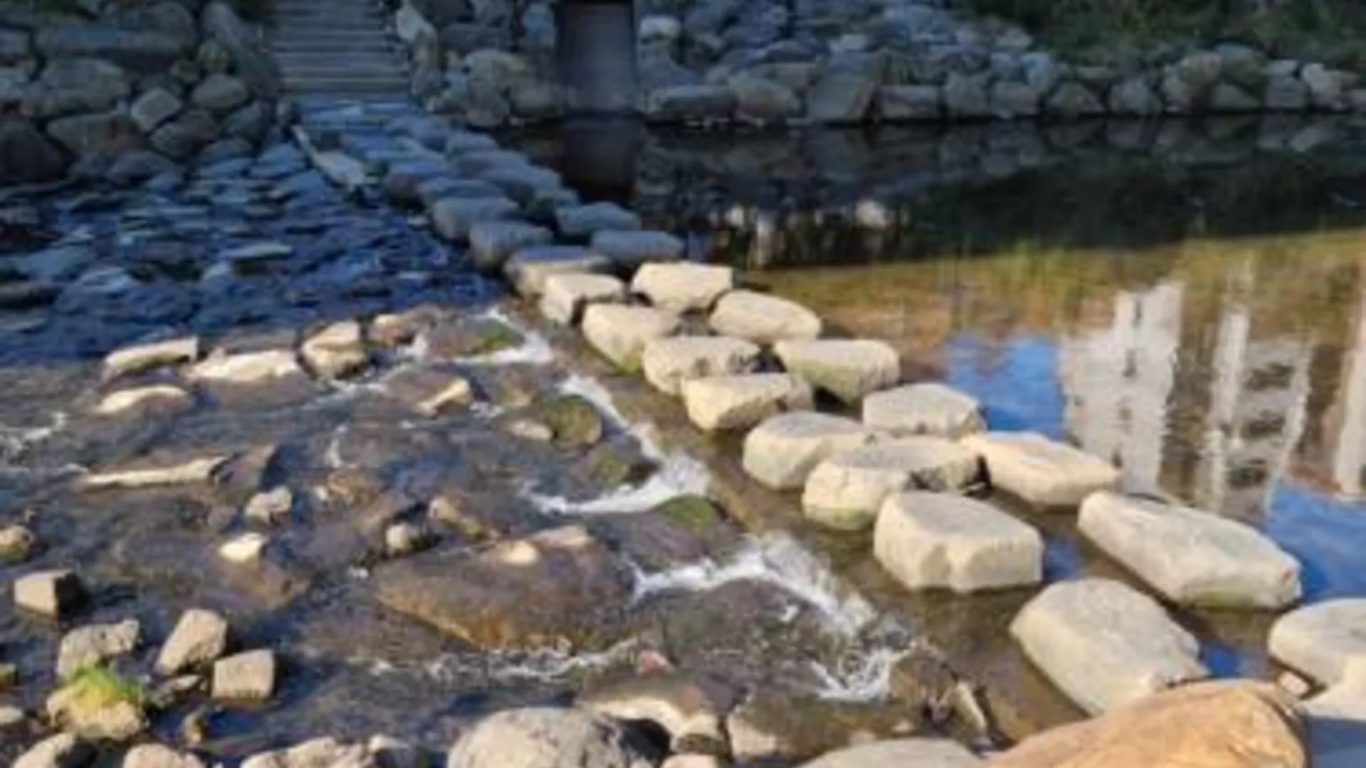 서울 Sophie House foreigners women only 3성급 게스트하우스 객실