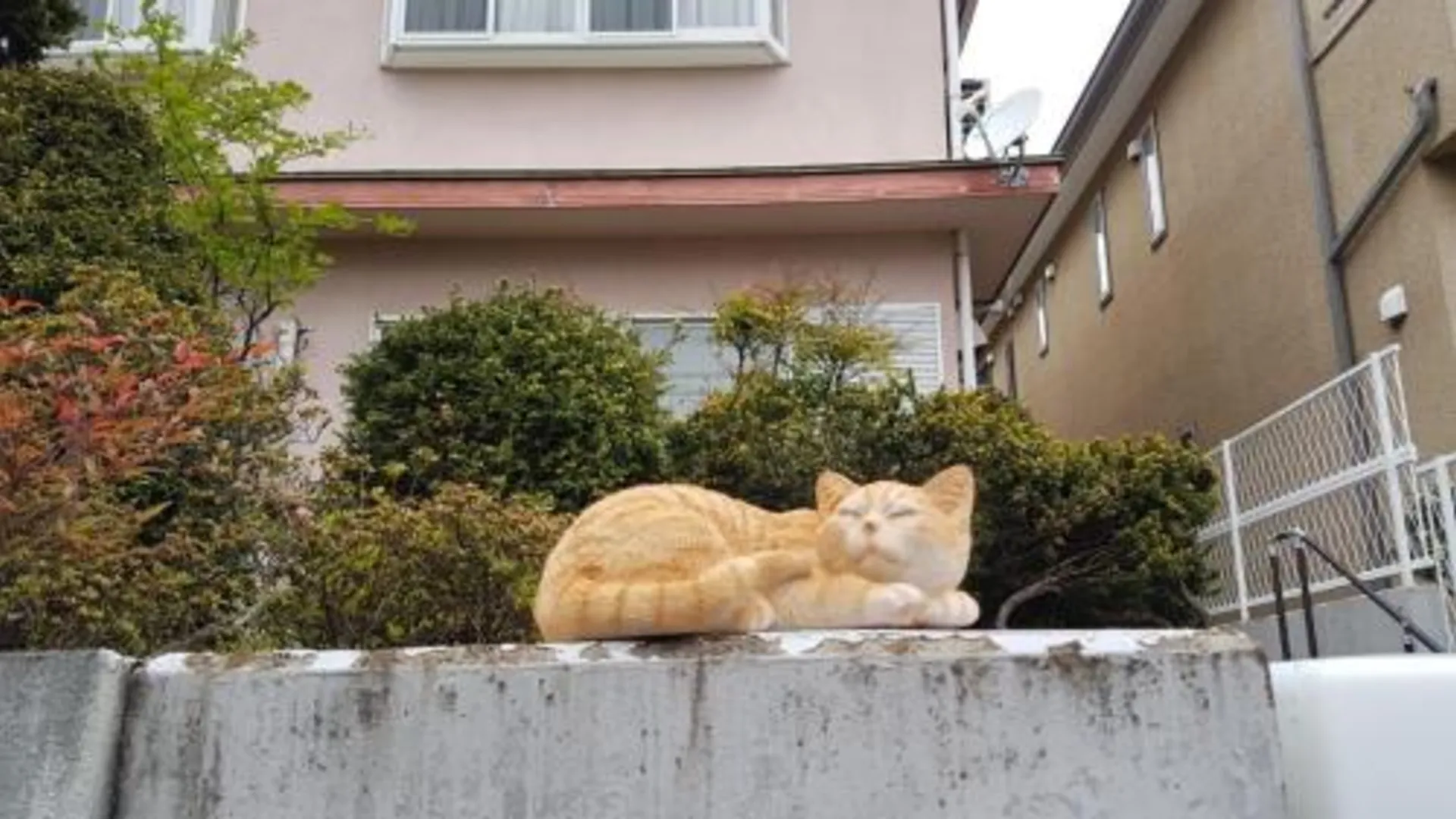 도쿄 / 동경 レンタルルーム目黒 2성급 호텔 수영장