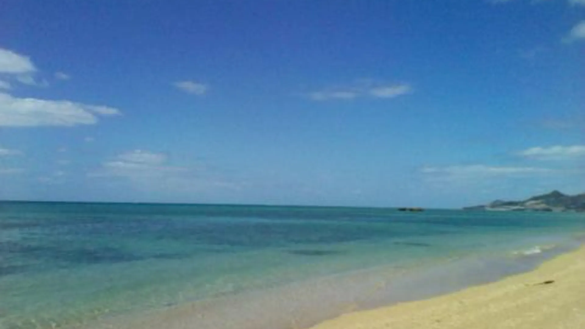 오키나와 본섬 오키나와 호스텔 얀바루 후쿠로 1성급 호텔 부대시설