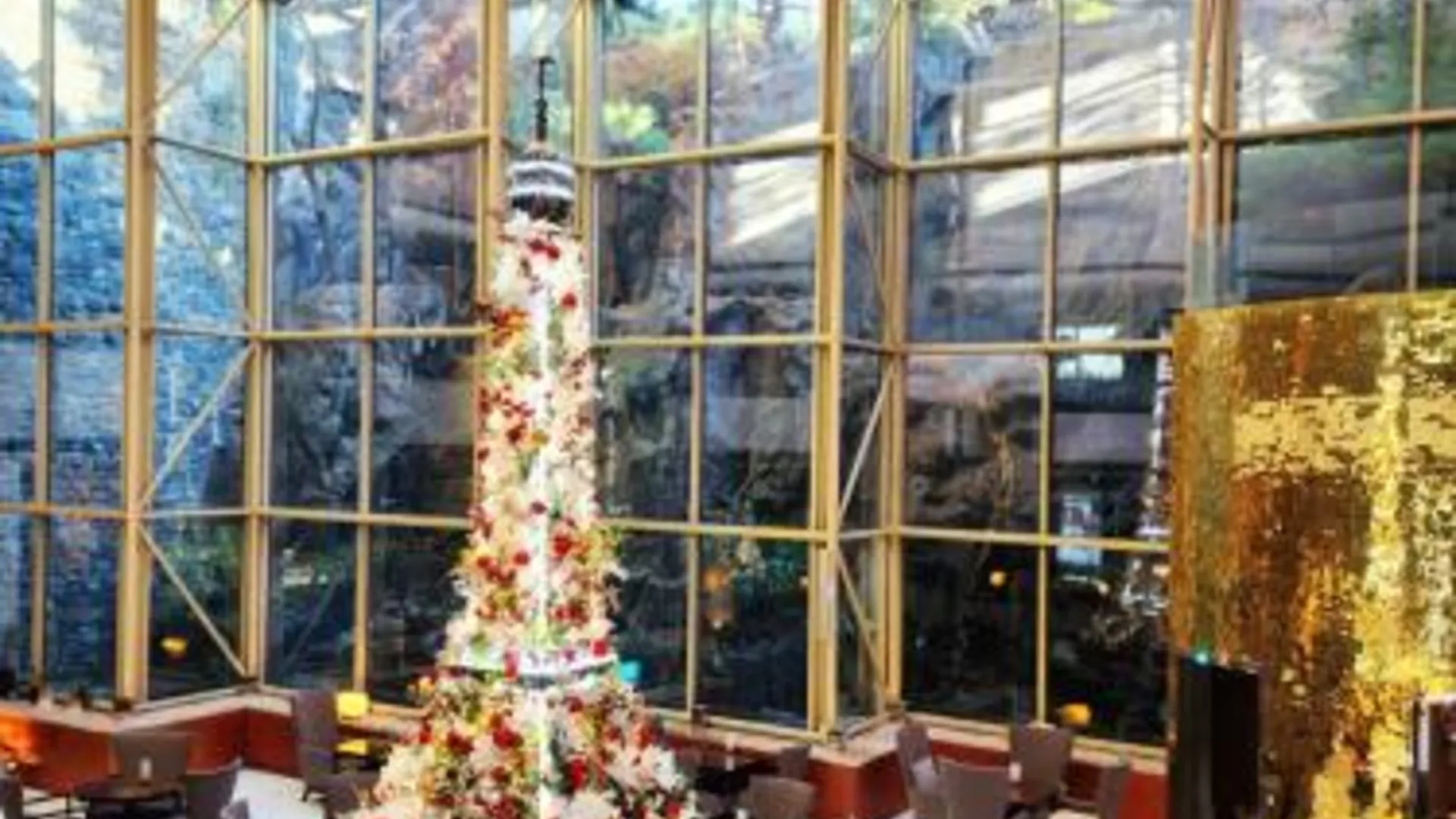 서울 노보텔 앰배서더 서울 강남  5성급 호텔 수영장