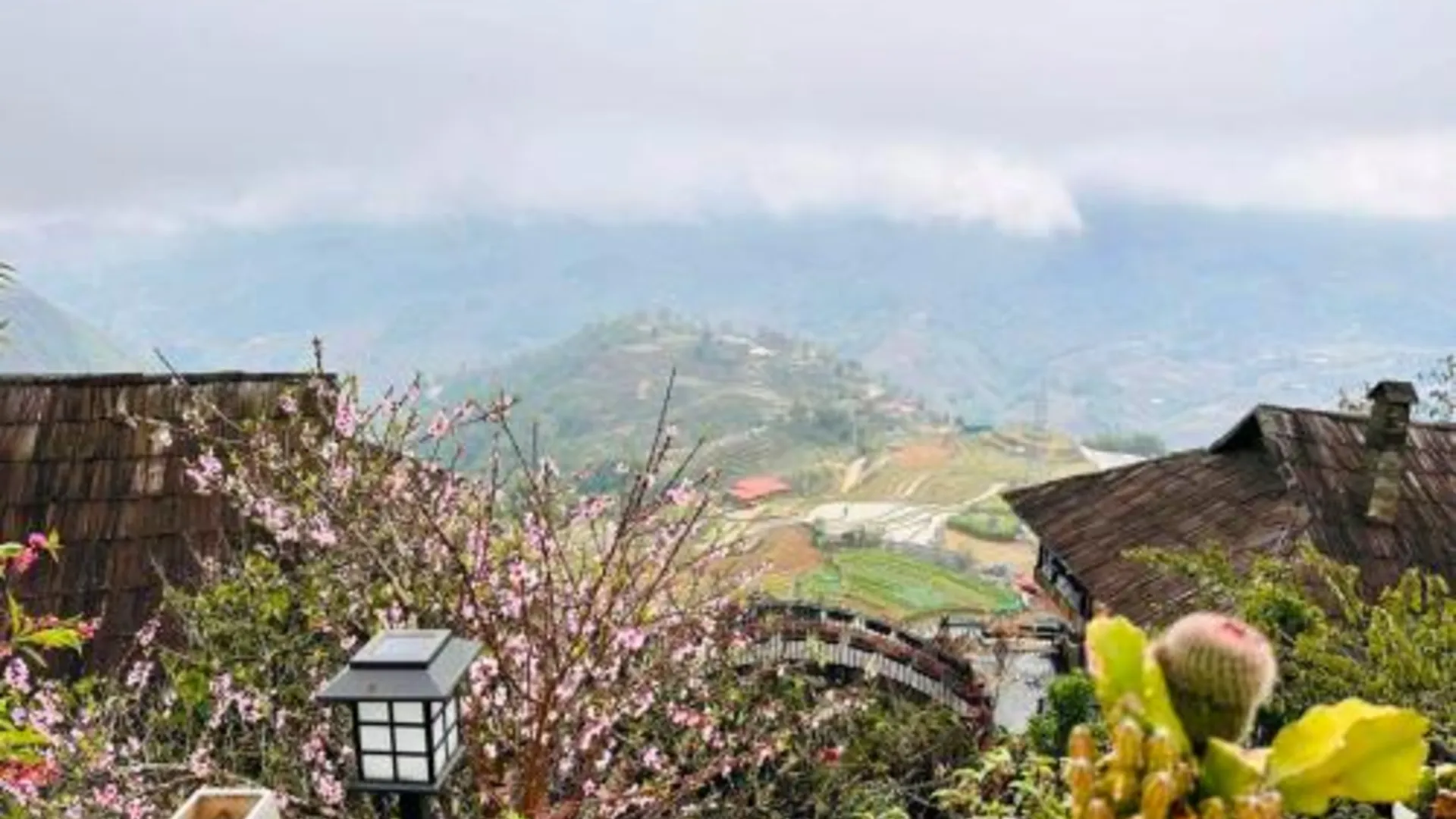 사파 후언 다우 다우 호스테이 2성급 호텔 객실