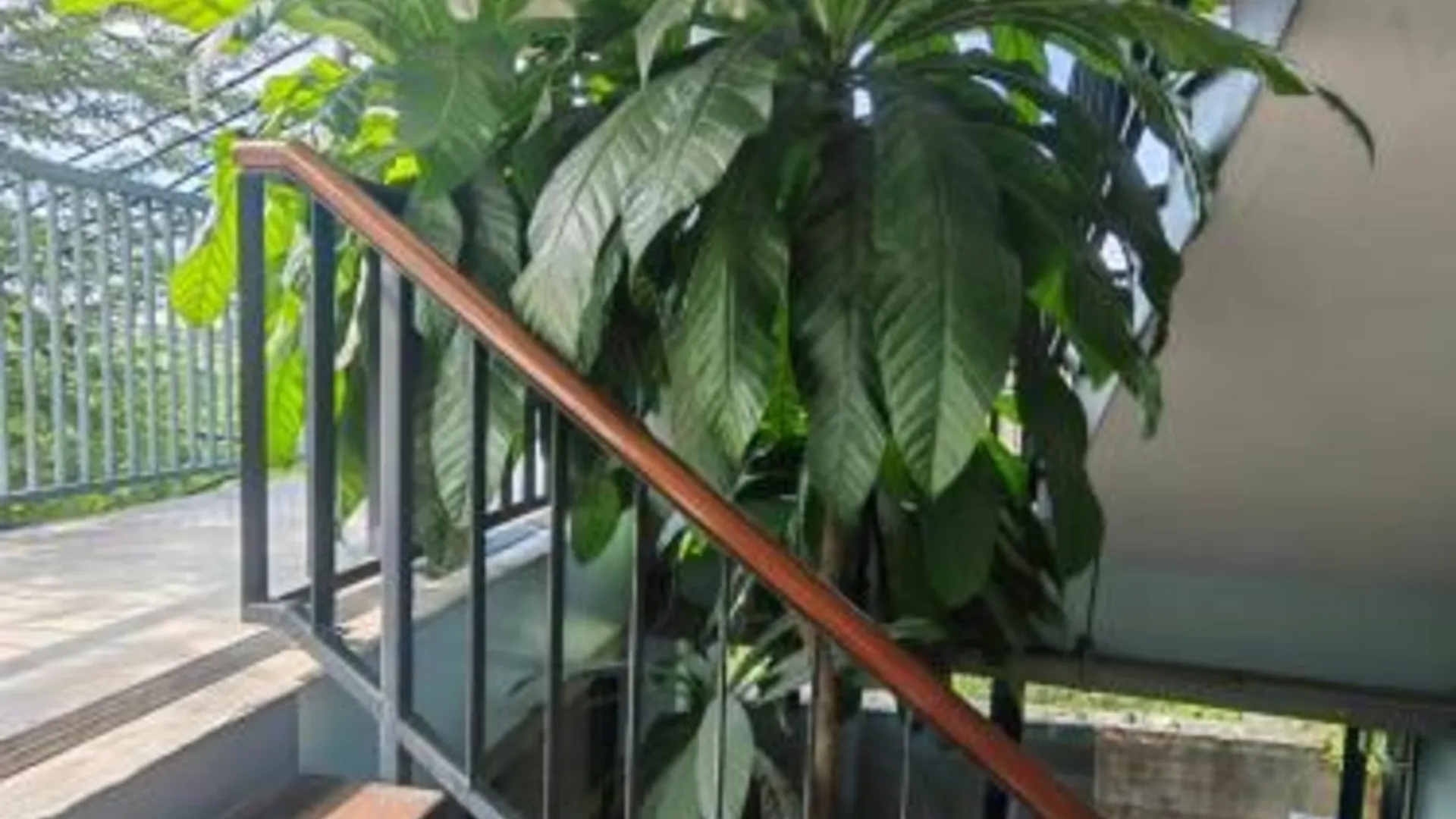 방콕 Bkk39 Airport hotel 2성급 호텔 전망