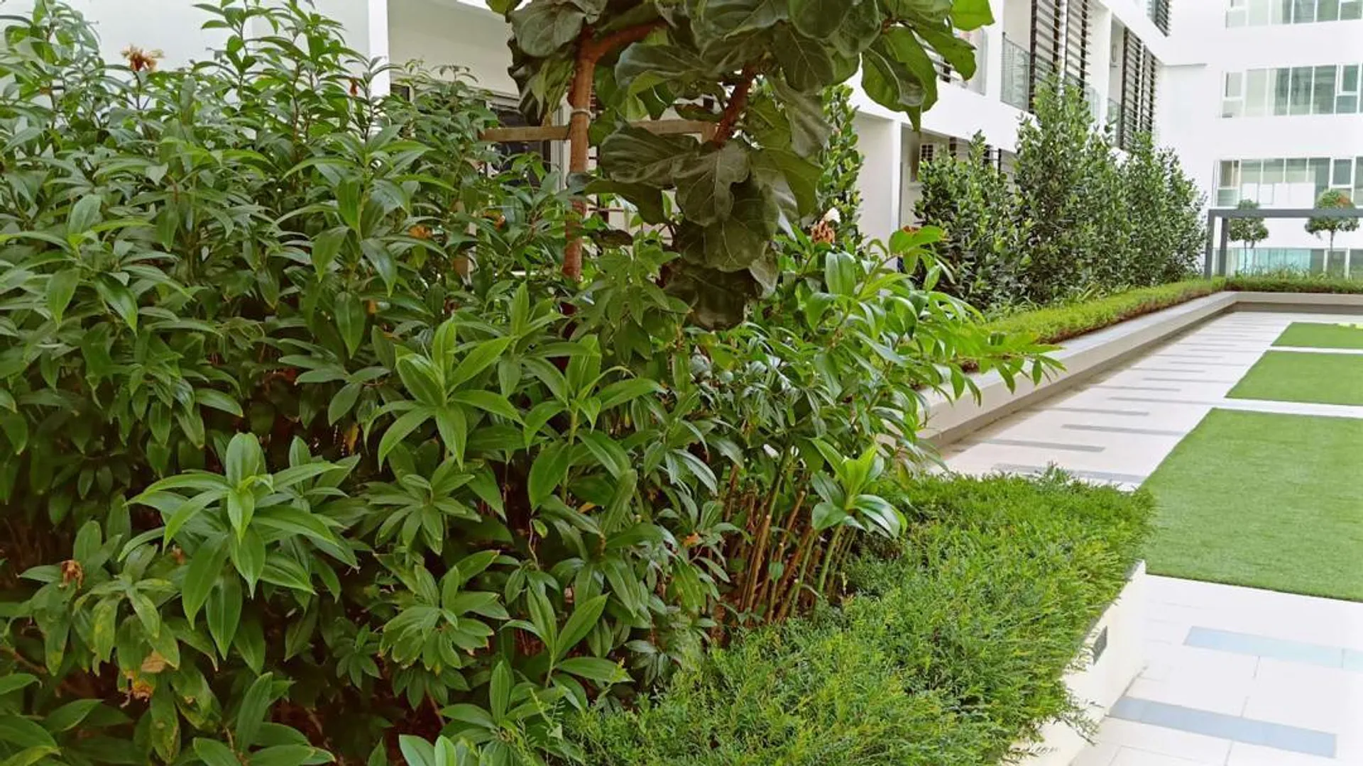 코타키나발루 VIP suite room 3성급 싱글룸 부대시설