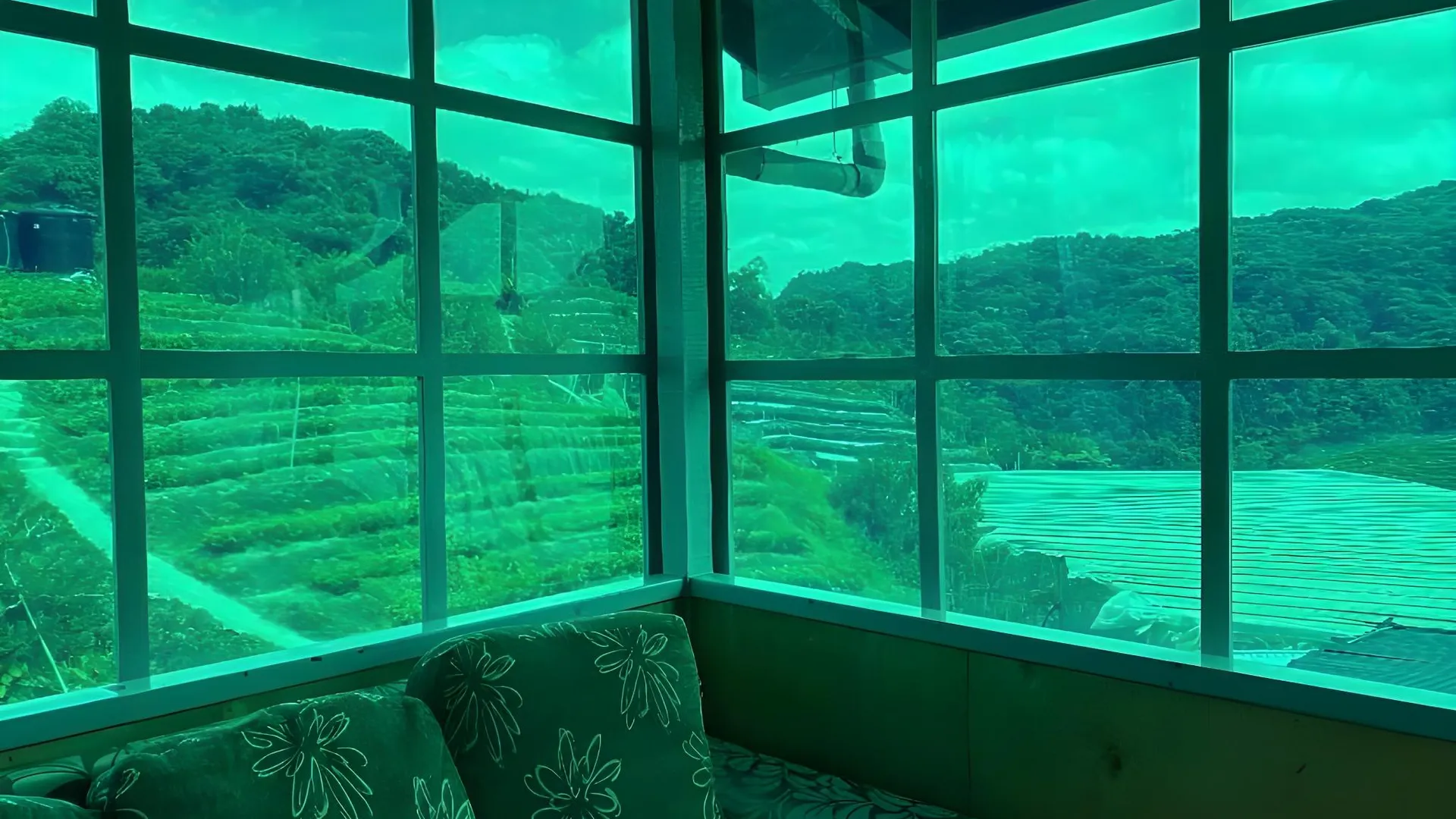 카메론 하일랜즈 브린창의 프라이빗 하우스 (100m², 침실 2개, 프라이빗 욕실 2개) 3성급 싱글룸 부대시설