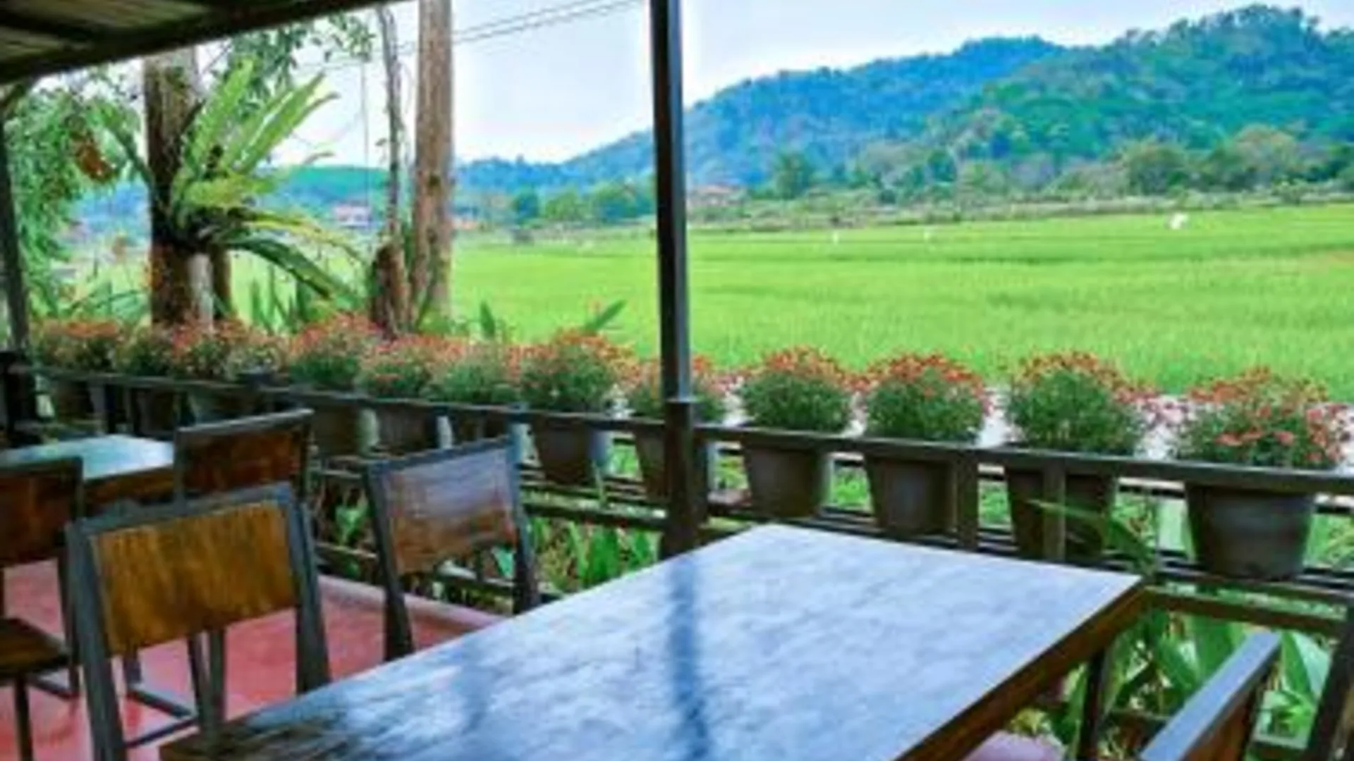 치앙라이 Baan Sin Suk 호텔 수영장