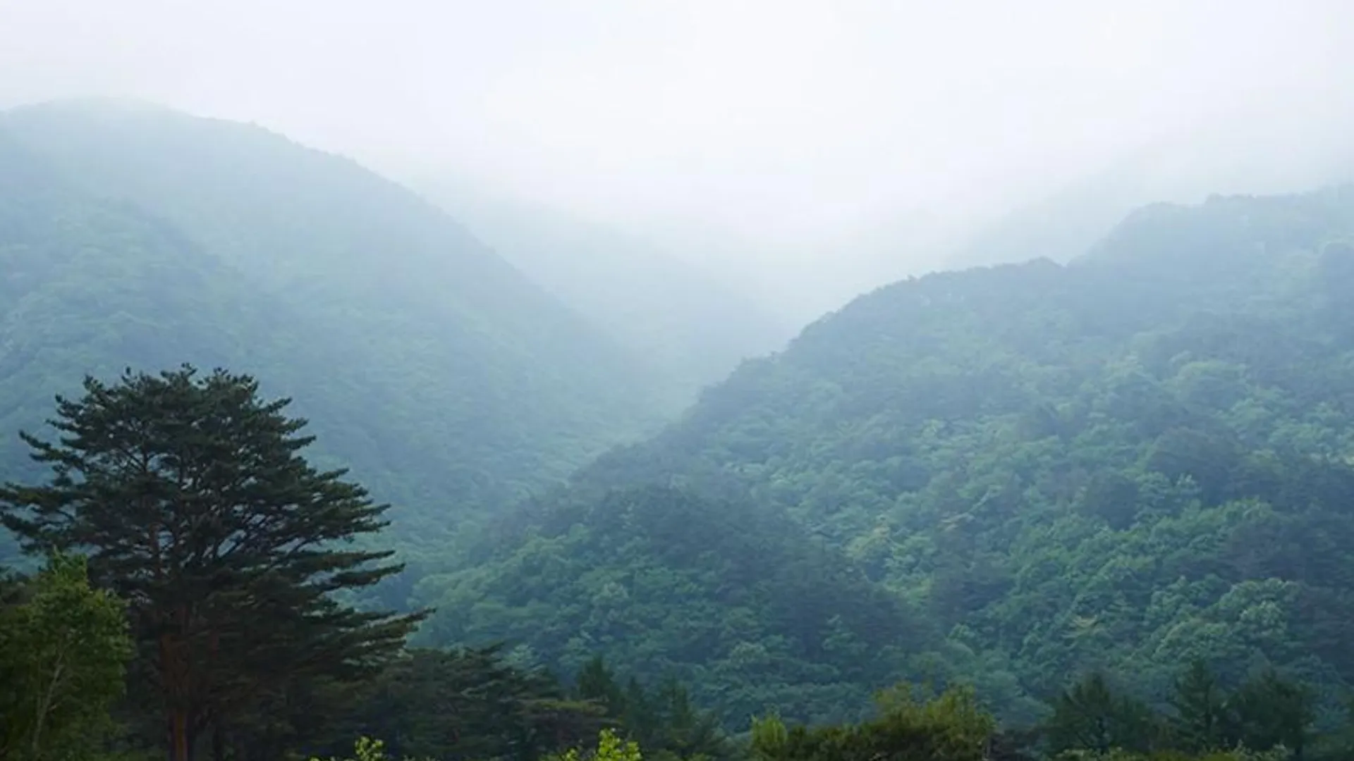 양양 양양 덴버하우스펜션 2성급 게스트하우스 로비