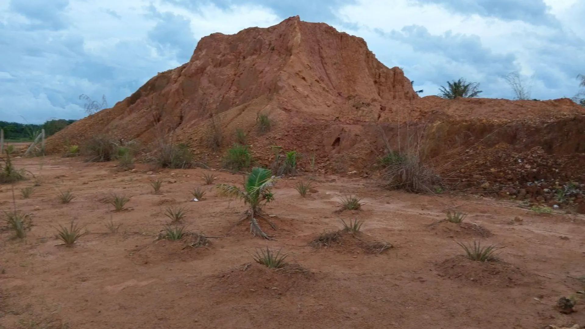 부킷 파용 부킷 파용의  (m², 침실 1개, 프라이빗 욕실 1개) 1성급 싱글룸 전망