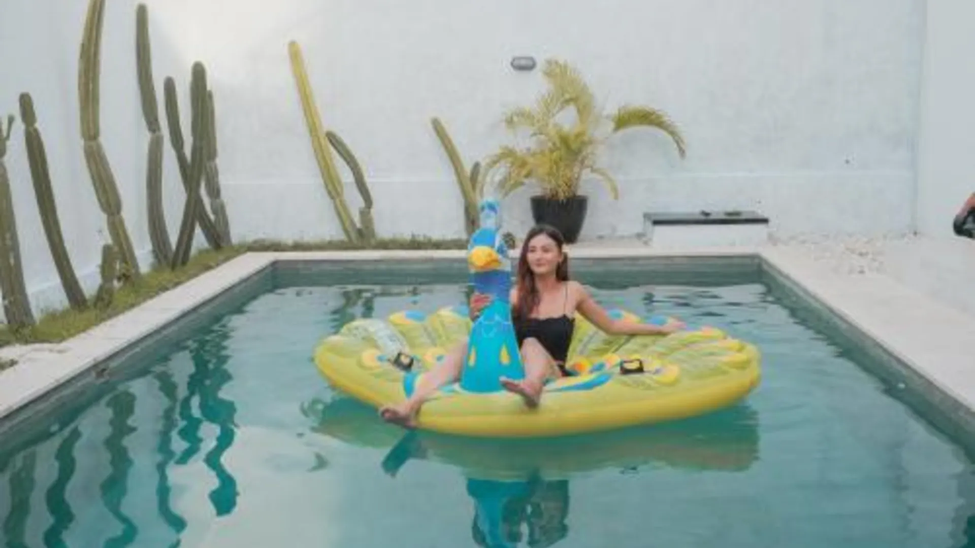 발리 Villa Akmali Seminyak Basangkasa- 2 Bedrooms 3성급 싱글룸 전망