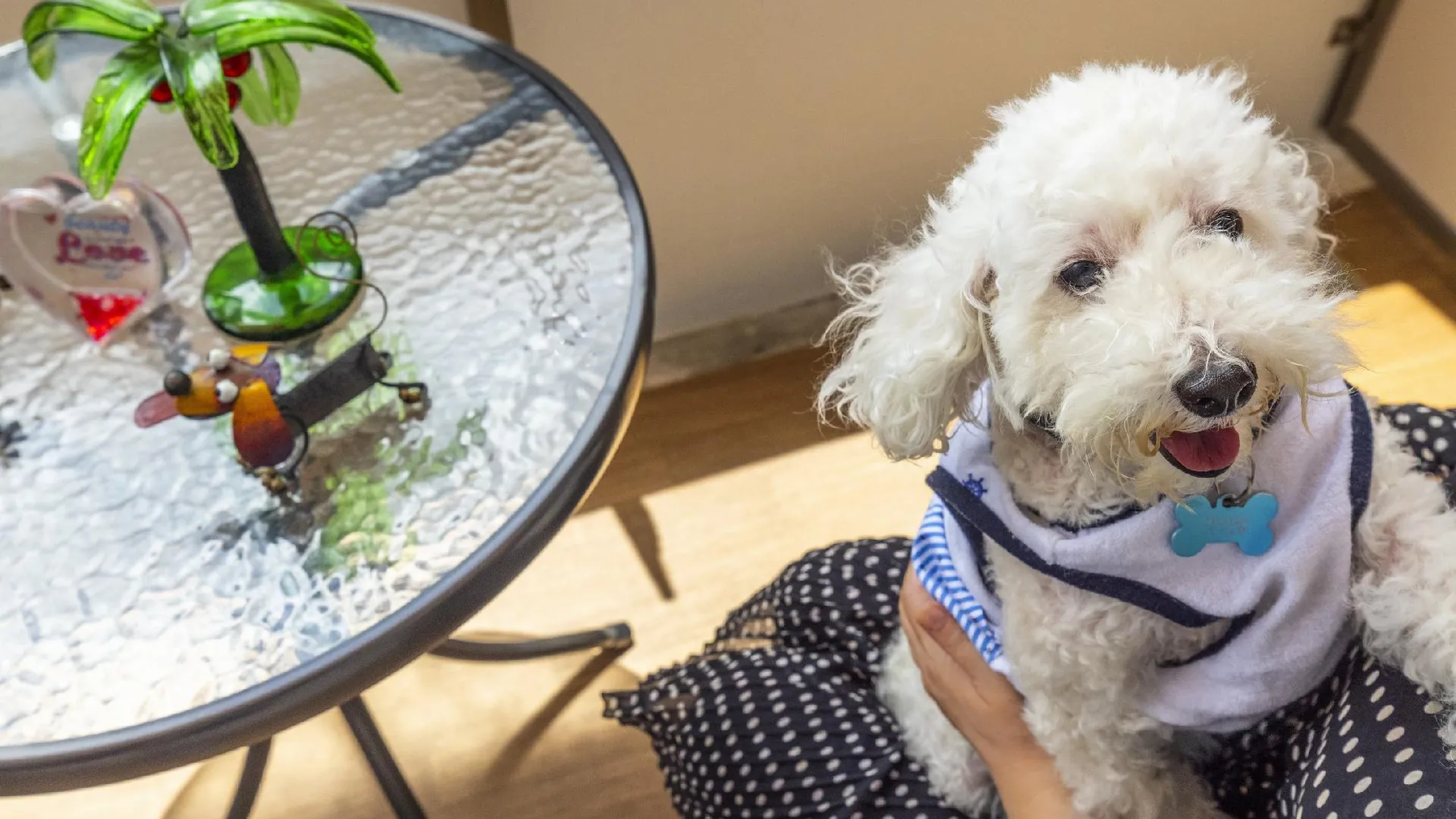 오키나와 본섬 Yenn's Marina Inn Mashiki Condo-Hotels 1성급 호텔 스위트룸