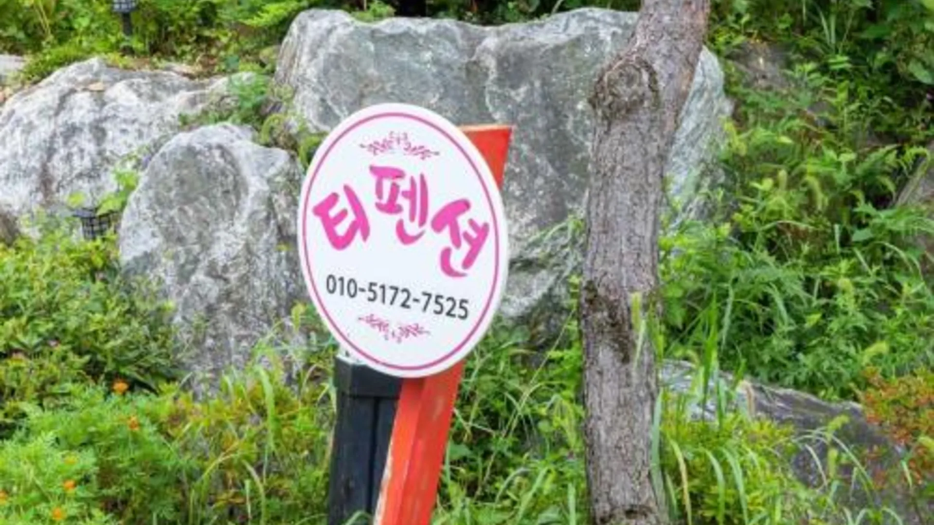 가평 T 펜션 3성급 게스트하우스 객실