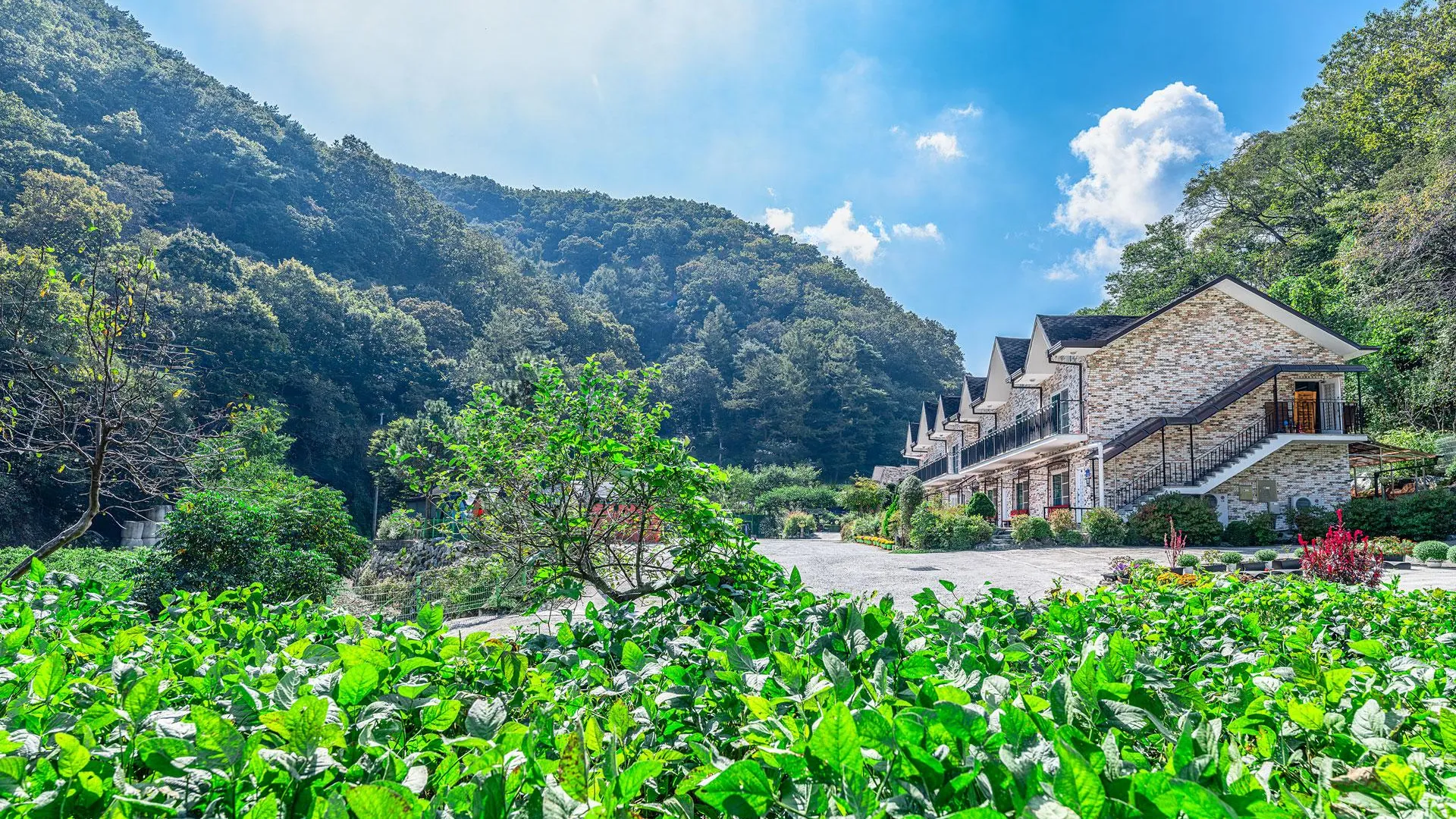 계룡시 대전 파파지붕&마마펜션 2성급 게스트하우스 외관