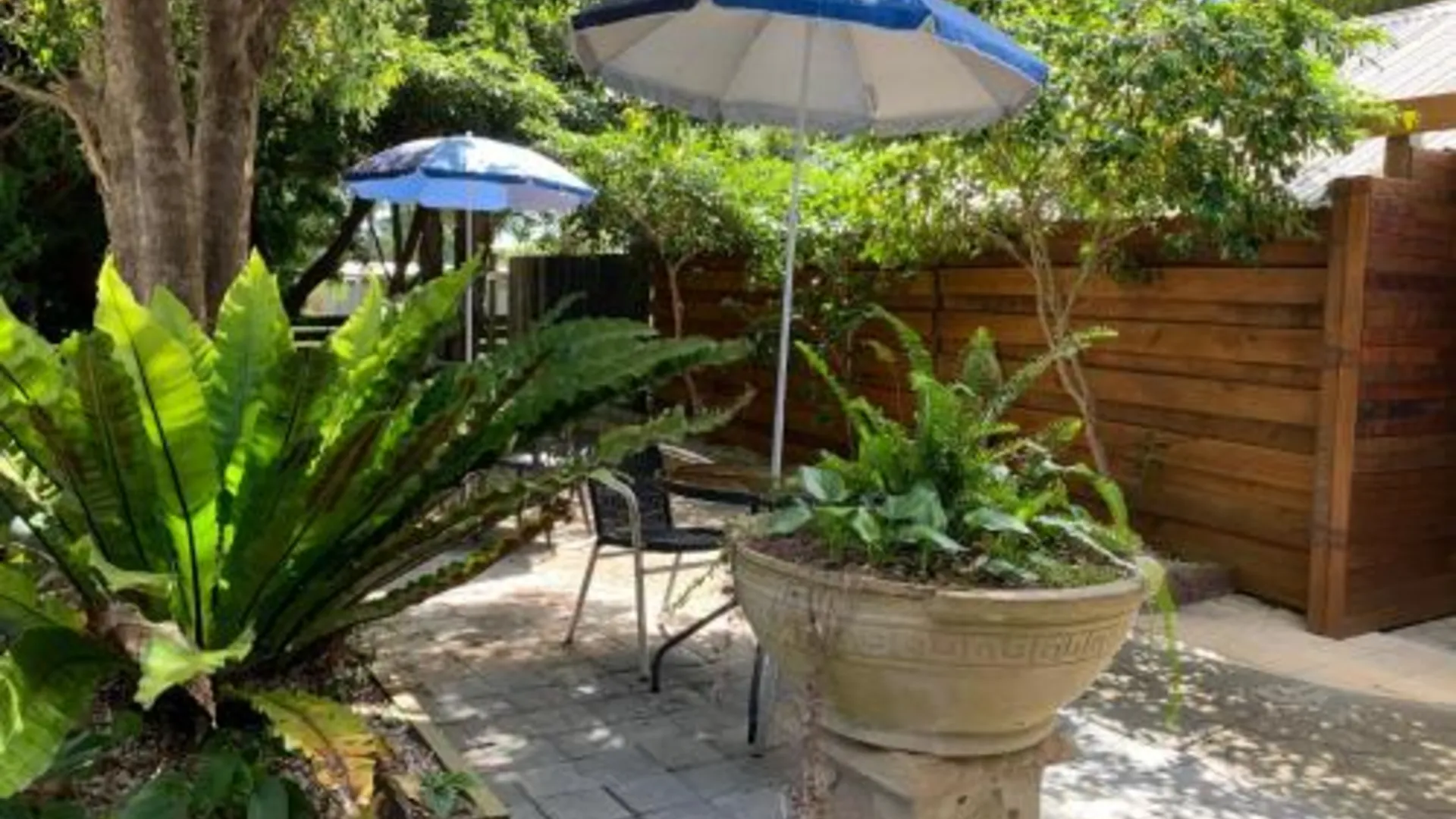 깁스랜드 지역 Wonthaggi Park Lane Holiday Park 1성급 게스트하우스 수영장