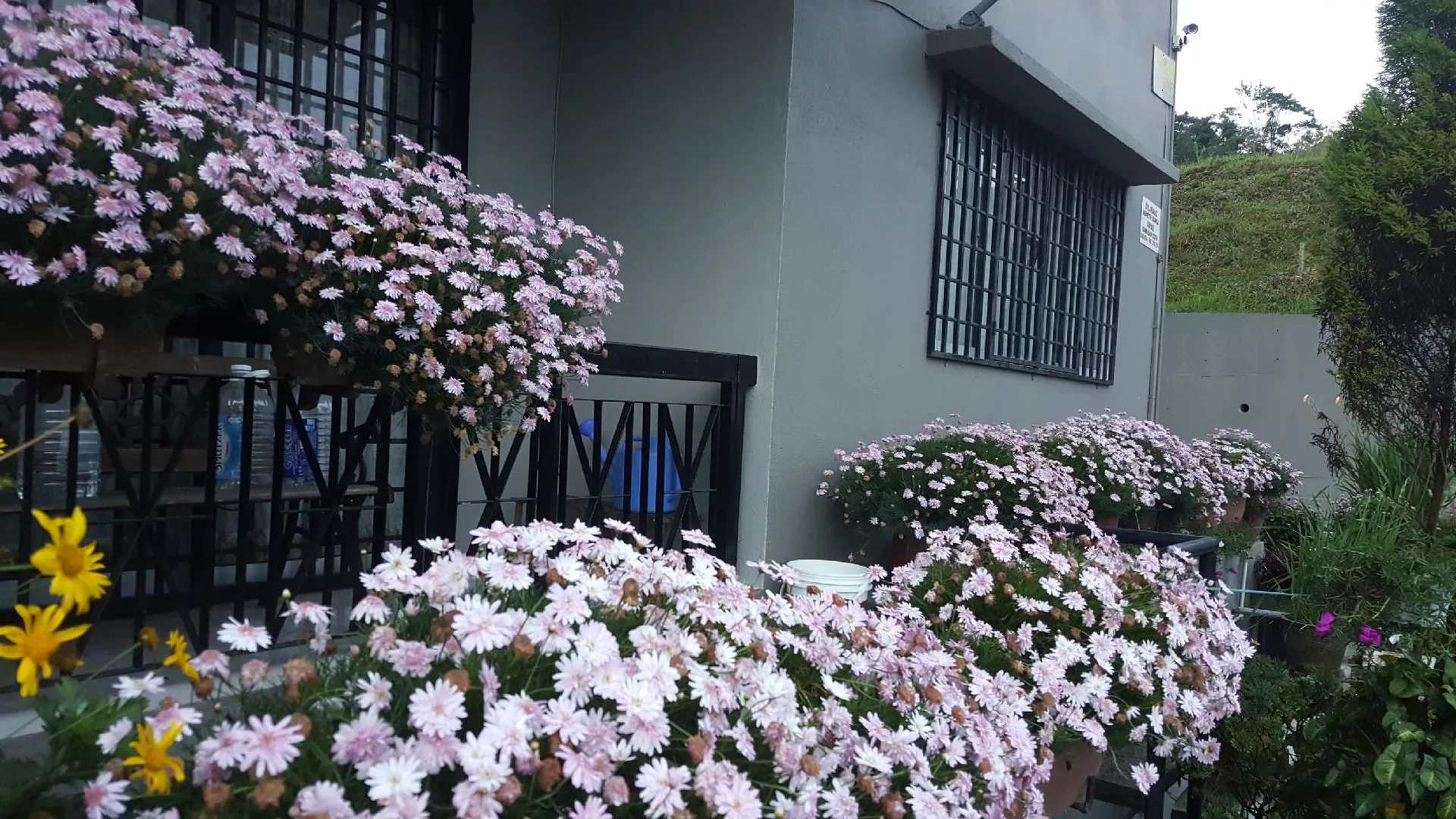 카메론 하일랜즈 KPW 앳 로얄 릴리 아파트먼트 3성급 게스트하우스 객실