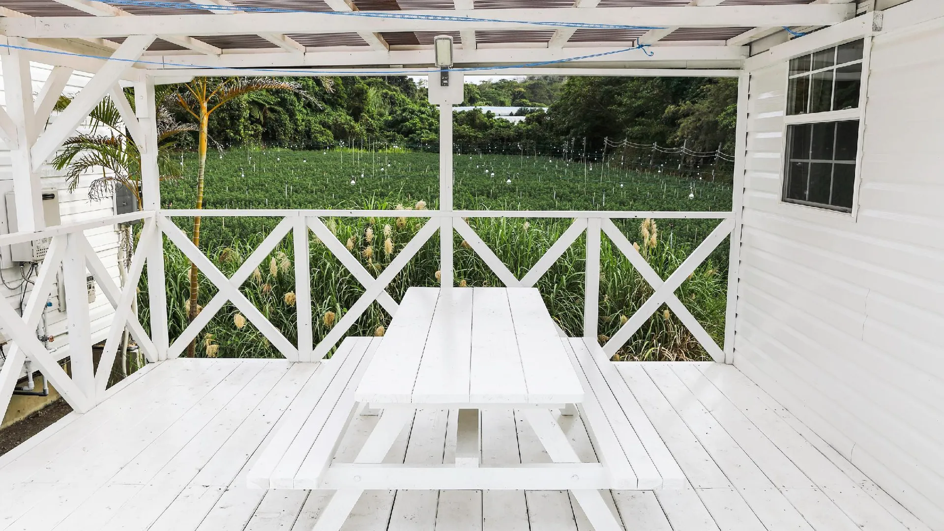 오키나와 본섬 코티지 스타 하우스 [오키나와 메인 아일랜드] 4성급 게스트하우스 레스토랑