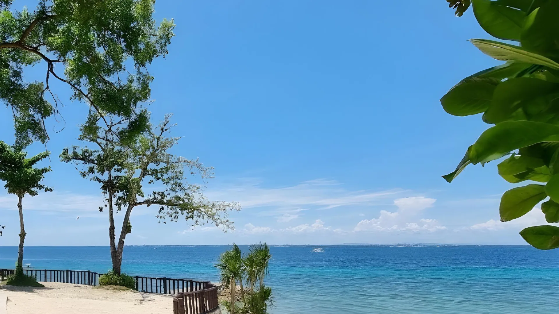 세부 막탄 섬의 아파트먼트 (51m², 침실 1개, 프라이빗 욕실 1개) 5성급 싱글룸 부대시설