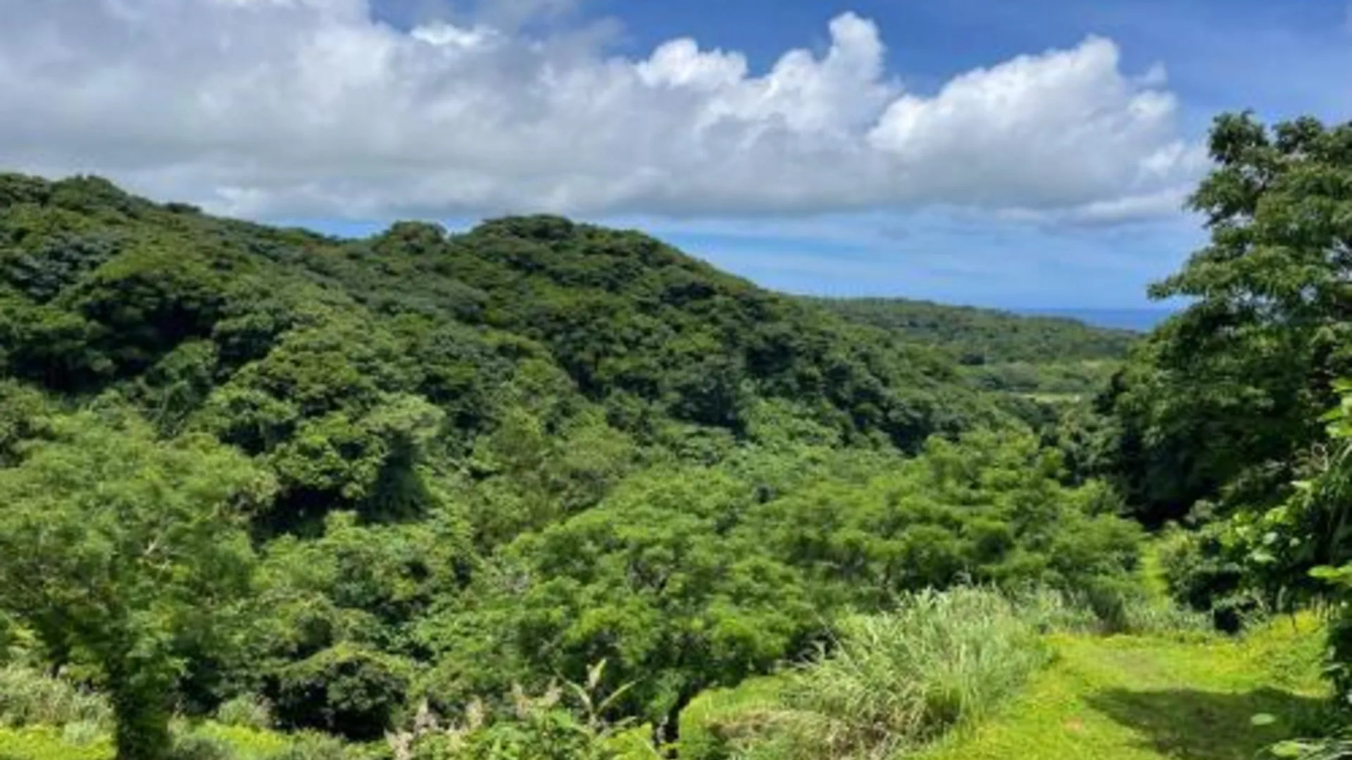 오키나와 본섬 S K p エスケープ 今帰仁 2성급 싱글룸 레스토랑