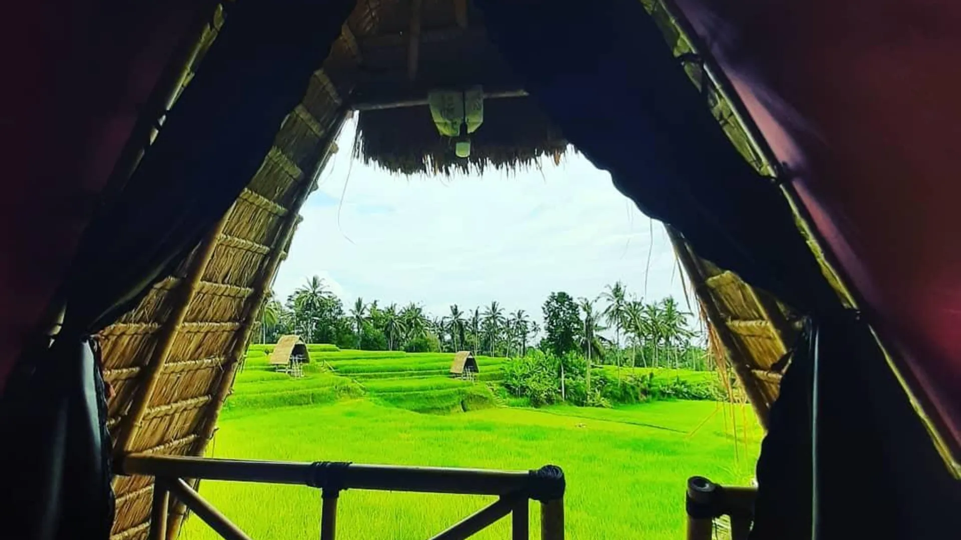 발리 우붓의 프라이빗 하우스 (10m², 침실 1개, 프라이빗 욕실 1개) 3성급 싱글룸 전망