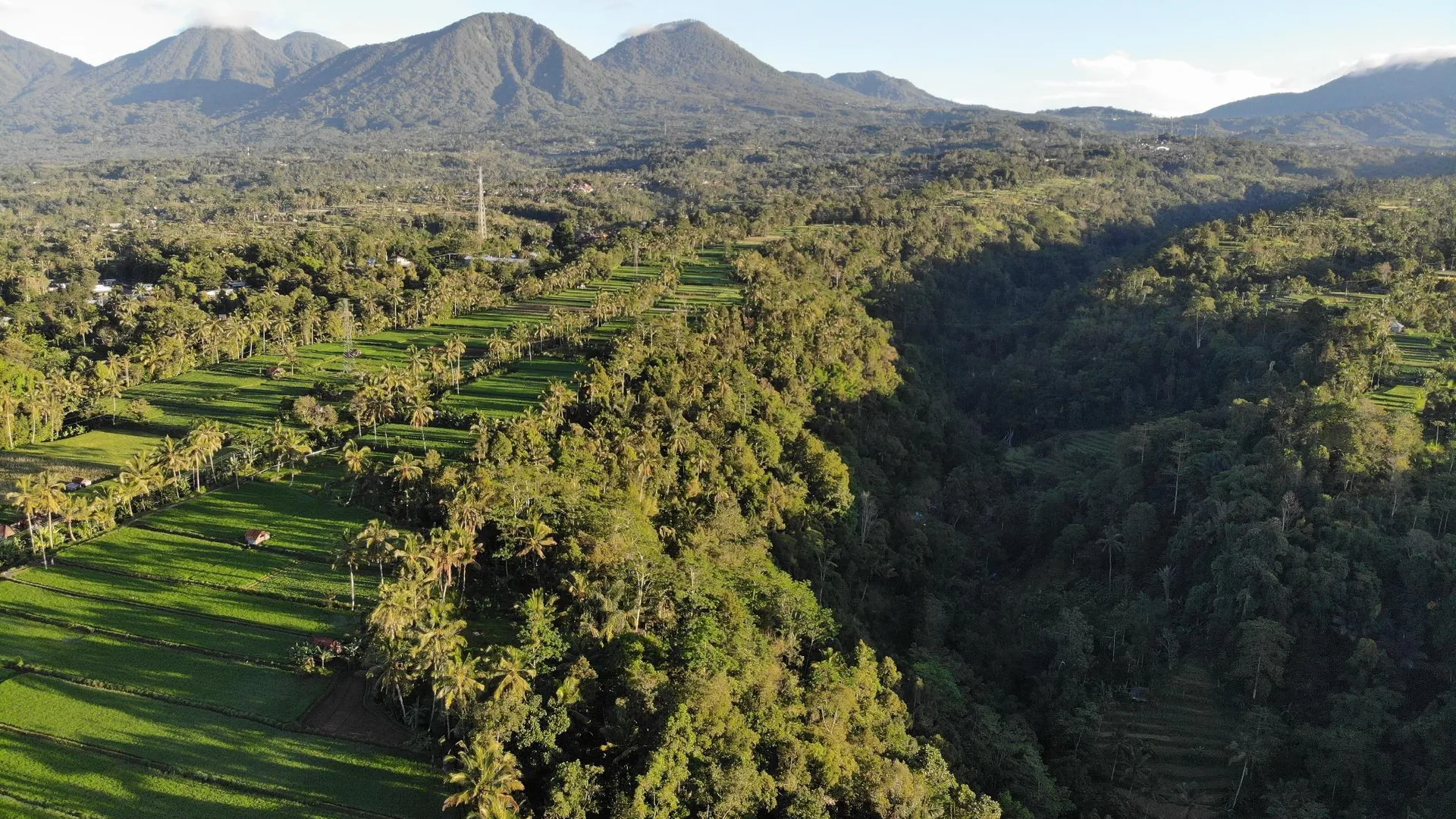 발리 빠양안 / 파양안의 프라이빗 하우스 (500m², 침실 3개, 프라이빗 욕실 3개) 3성급 싱글룸 부대시설