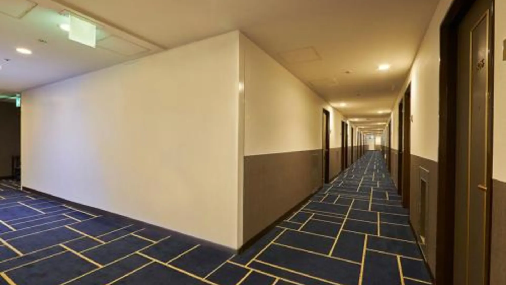 오사카 하톤 호텔 니시 우메다 3성급 호텔 수영장