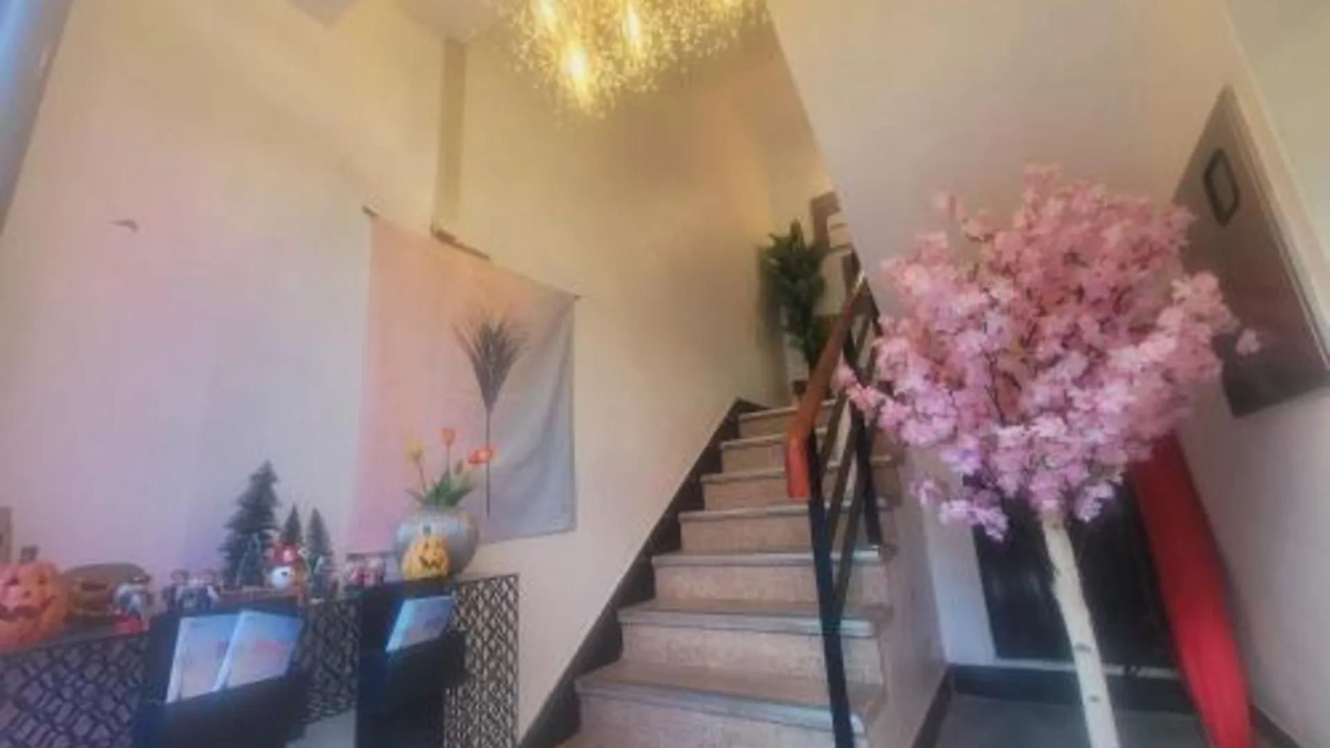 서울 올리브 호스텔 명동점 2성급 호텔 부대시설