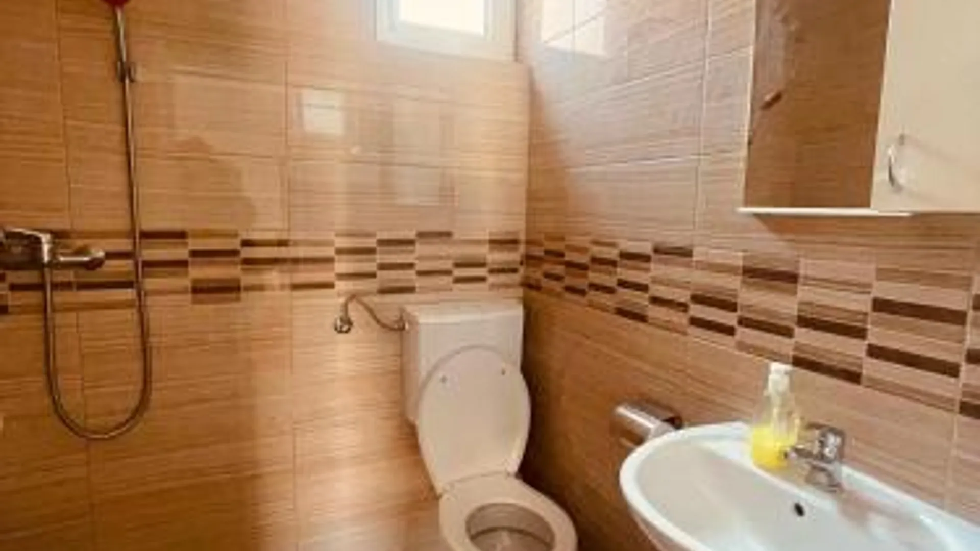 벨리코 그라디스테 Vila Biser 호텔 수영장