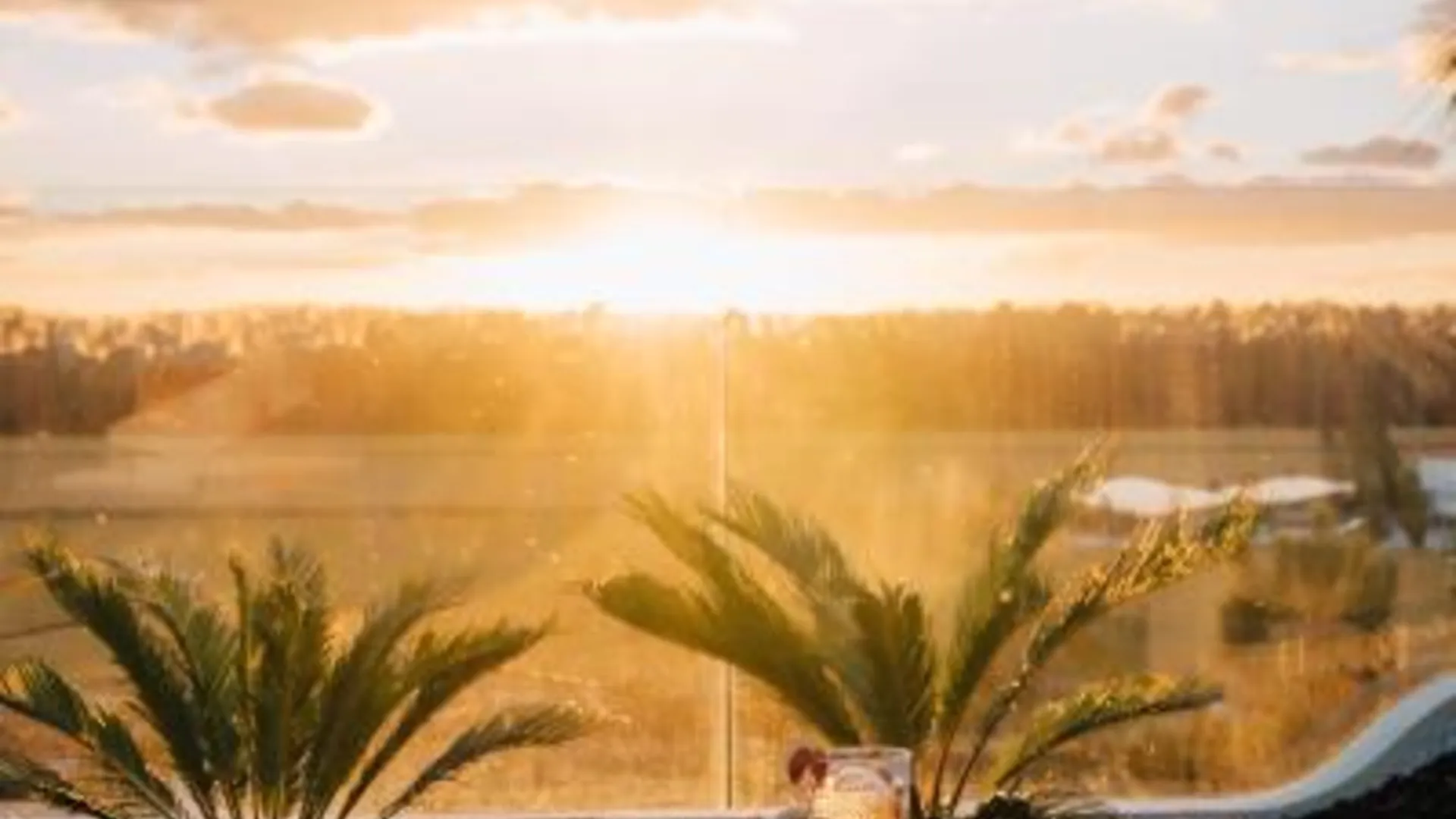 콤포르타 AlmaLusa Comporta 4성급 호텔 부대시설