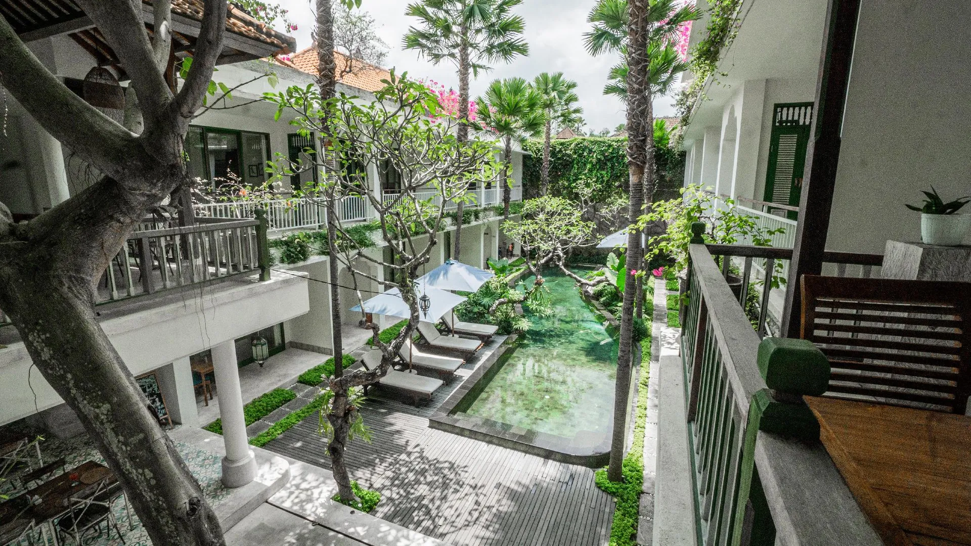 발리 사바나 우붓 5성급 게스트하우스 수영장