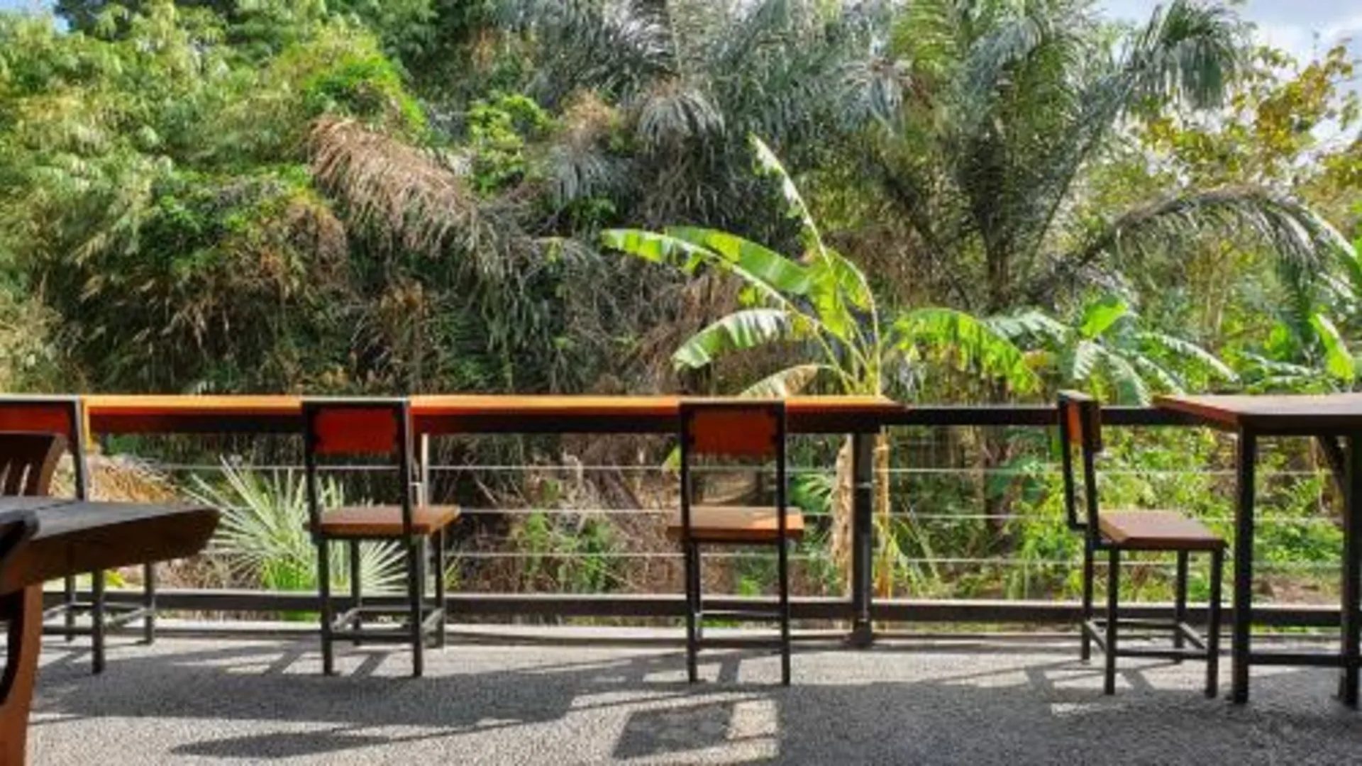 발리 더 파이카 호텔 2성급 호텔 전망