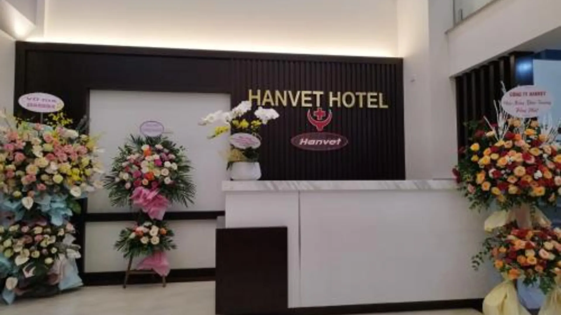 하노이 한벳 호텔 하노이 호텔 수영장