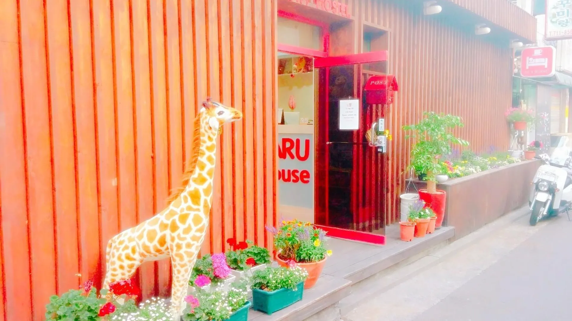 서울 나루 호스텔 3성급 게스트하우스 객실