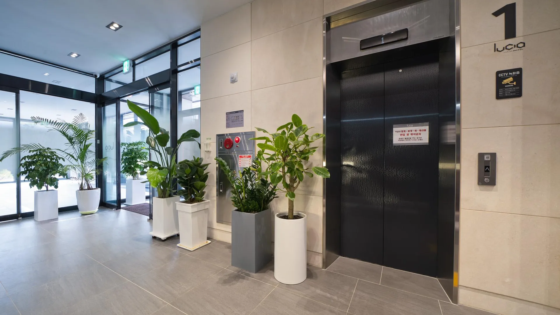 강릉 강릉(주문진) 루시아호텔 호텔 수영장