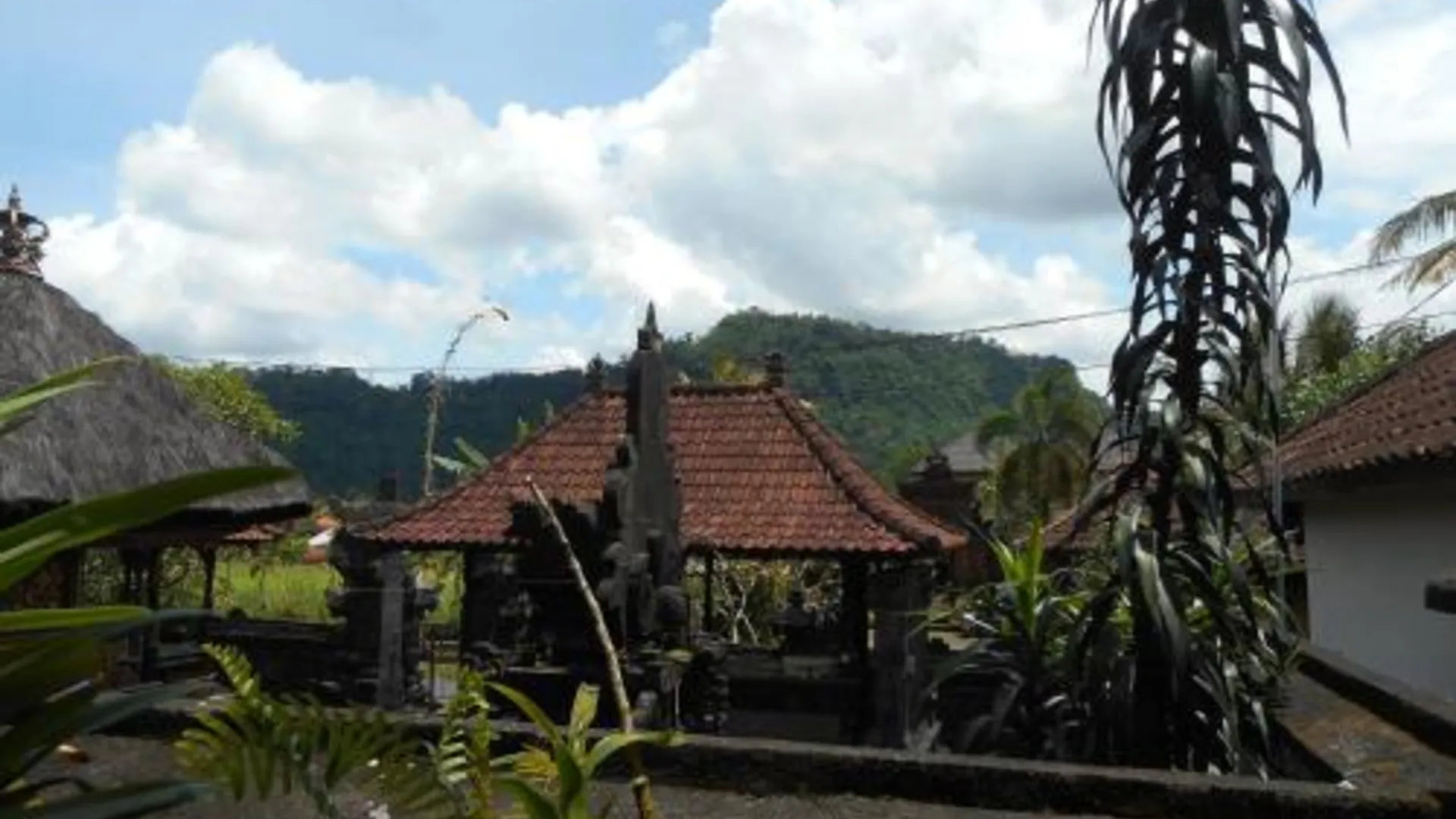 발리 Ming Homestay 2성급 싱글룸 외관