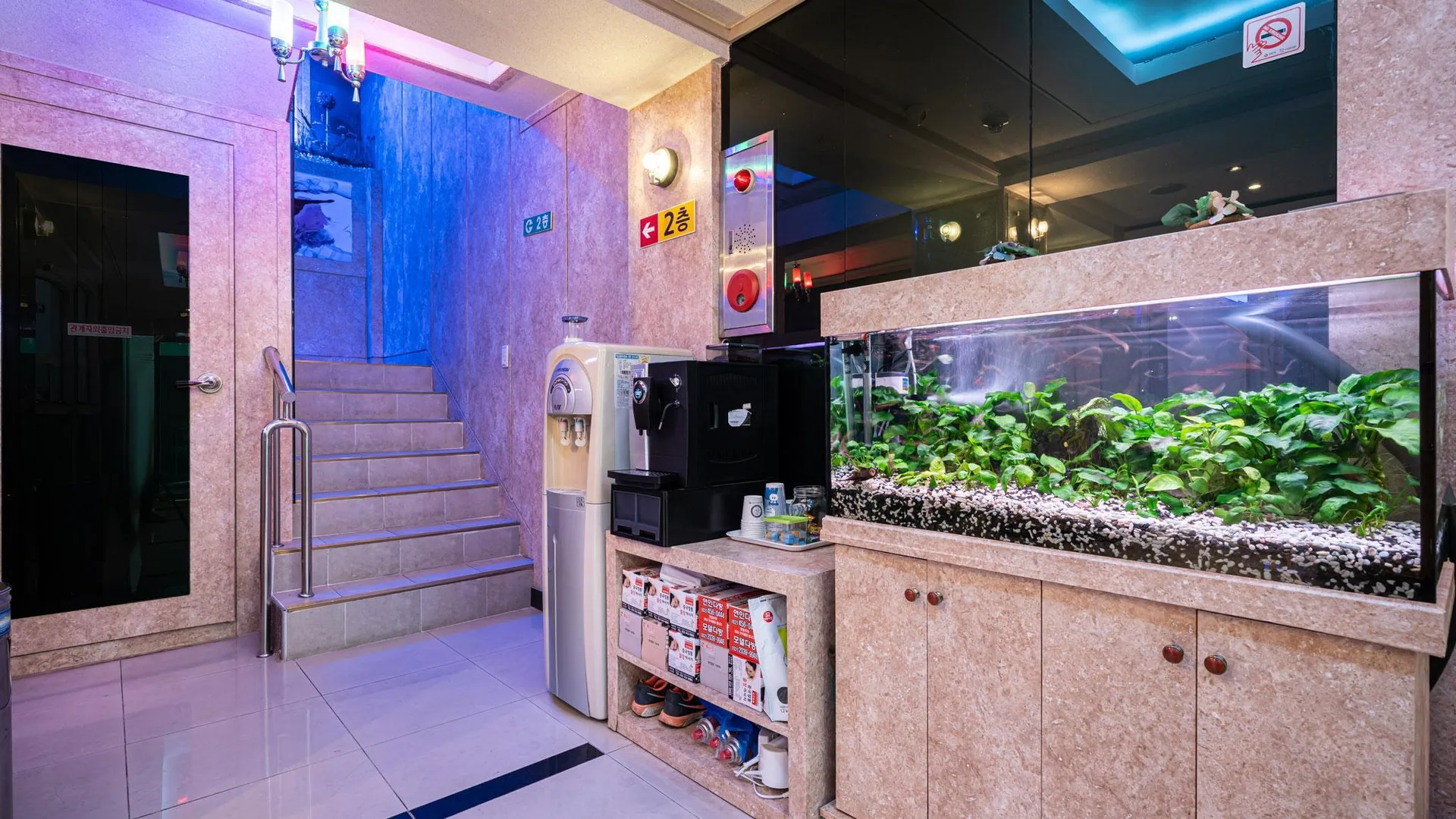 서울 건대 그랜드 1성급 호텔 수영장