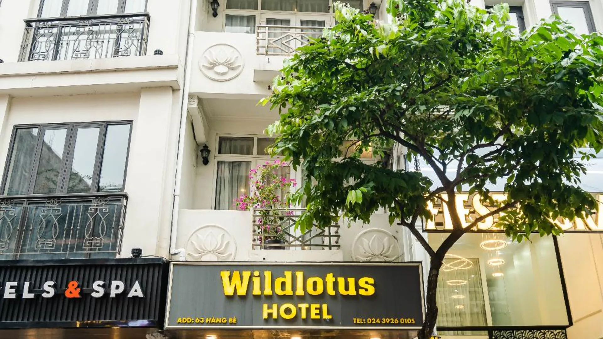 하노이 와일드 로터스 호텔 - 항베 2성급 호텔 객실