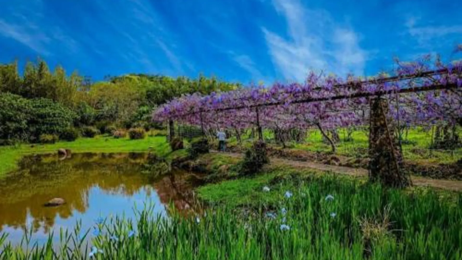 타이베이 天空小品民宿 新北市認證魅力民宿 4성급 게스트하우스 부대시설