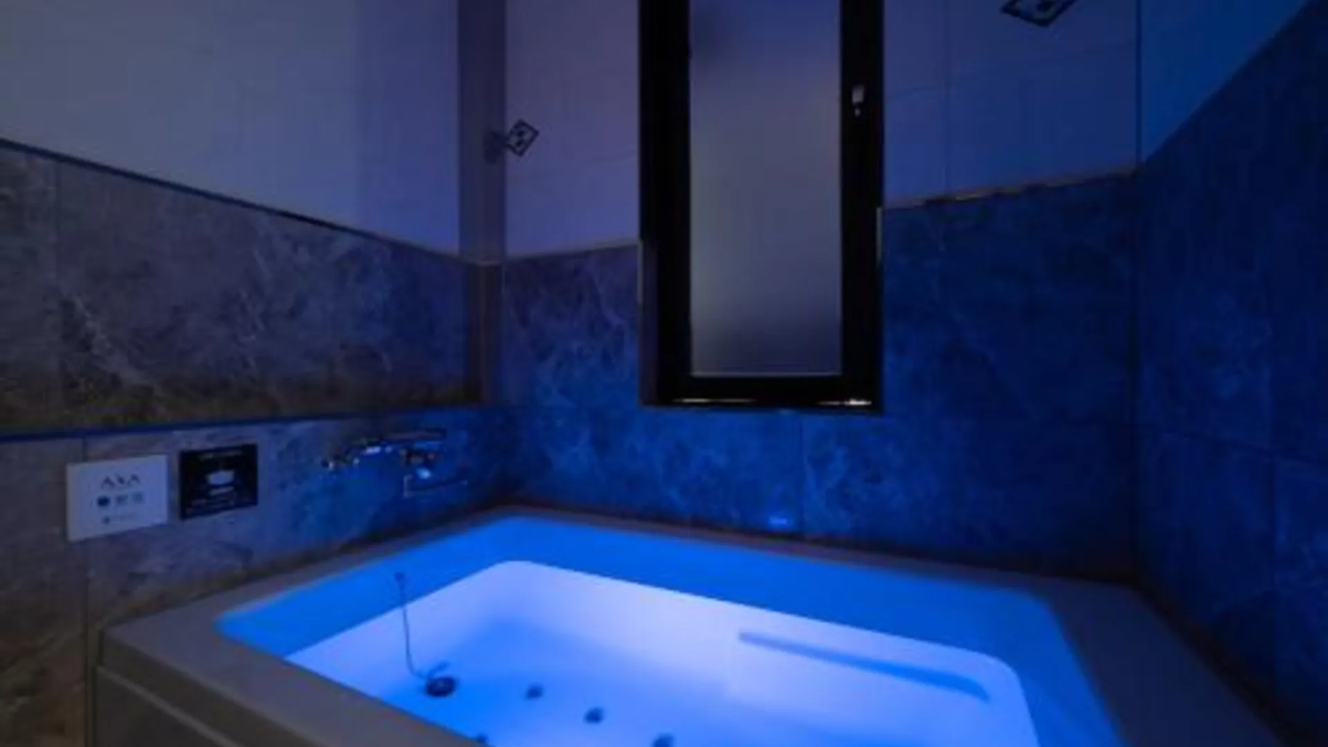 도쿄 / 동경 HOTEL VARKIN Ikebukuro Nishiguchi 3성급 호텔 전망