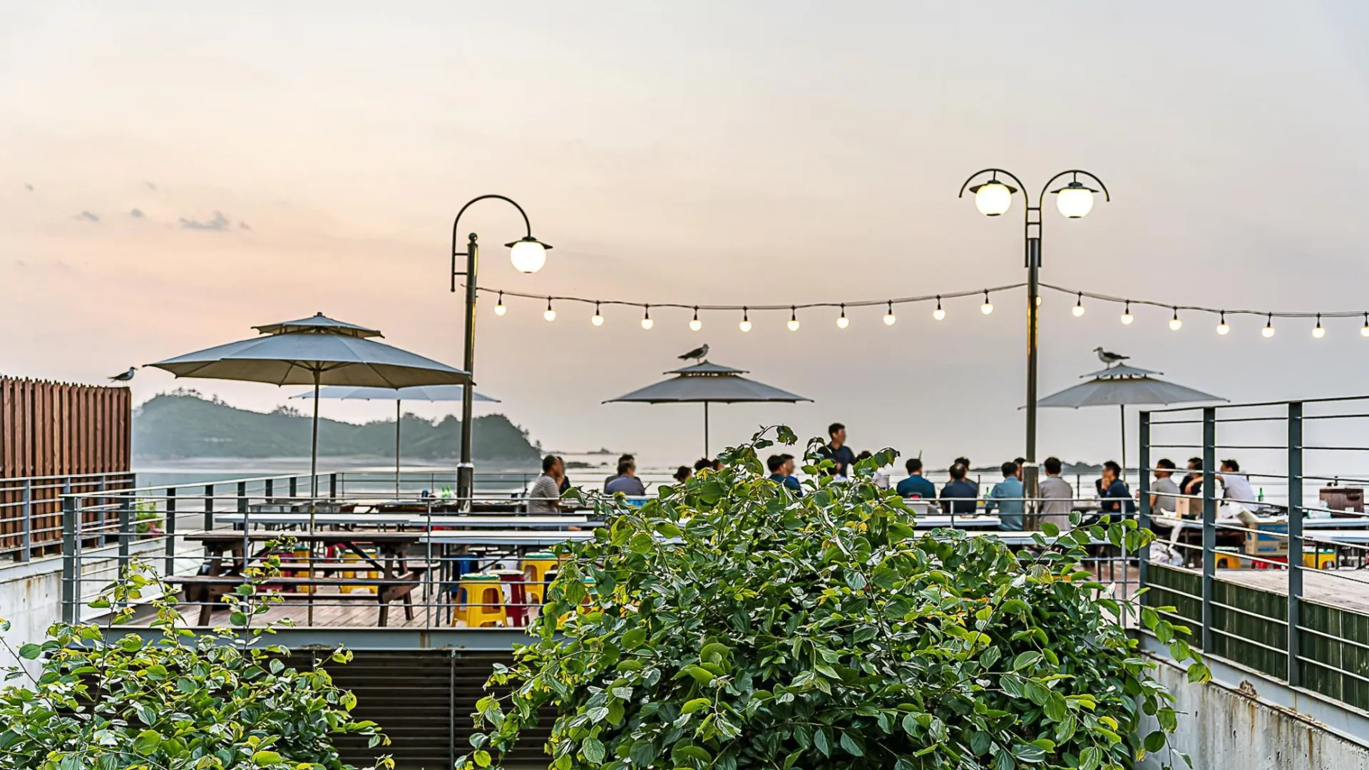 태안 자작나무 리조트 3성급 게스트하우스 전망