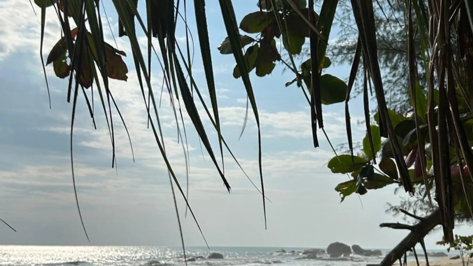 쿠안탄 테루크 쳄페타크의 아파트먼트 (m², 침실 3개, 프라이빗 욕실 2개) 3성급 싱글룸 외관