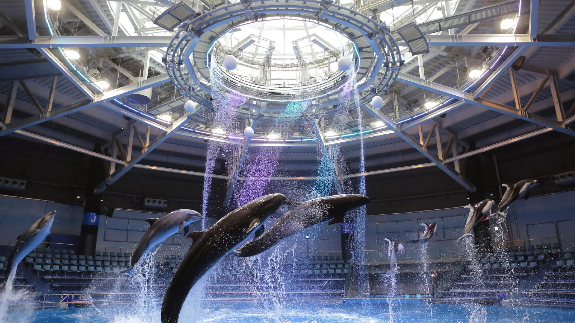 도쿄 / 동경 시나가와 프린스 호텔 N 타워 4성급 호텔 레스토랑