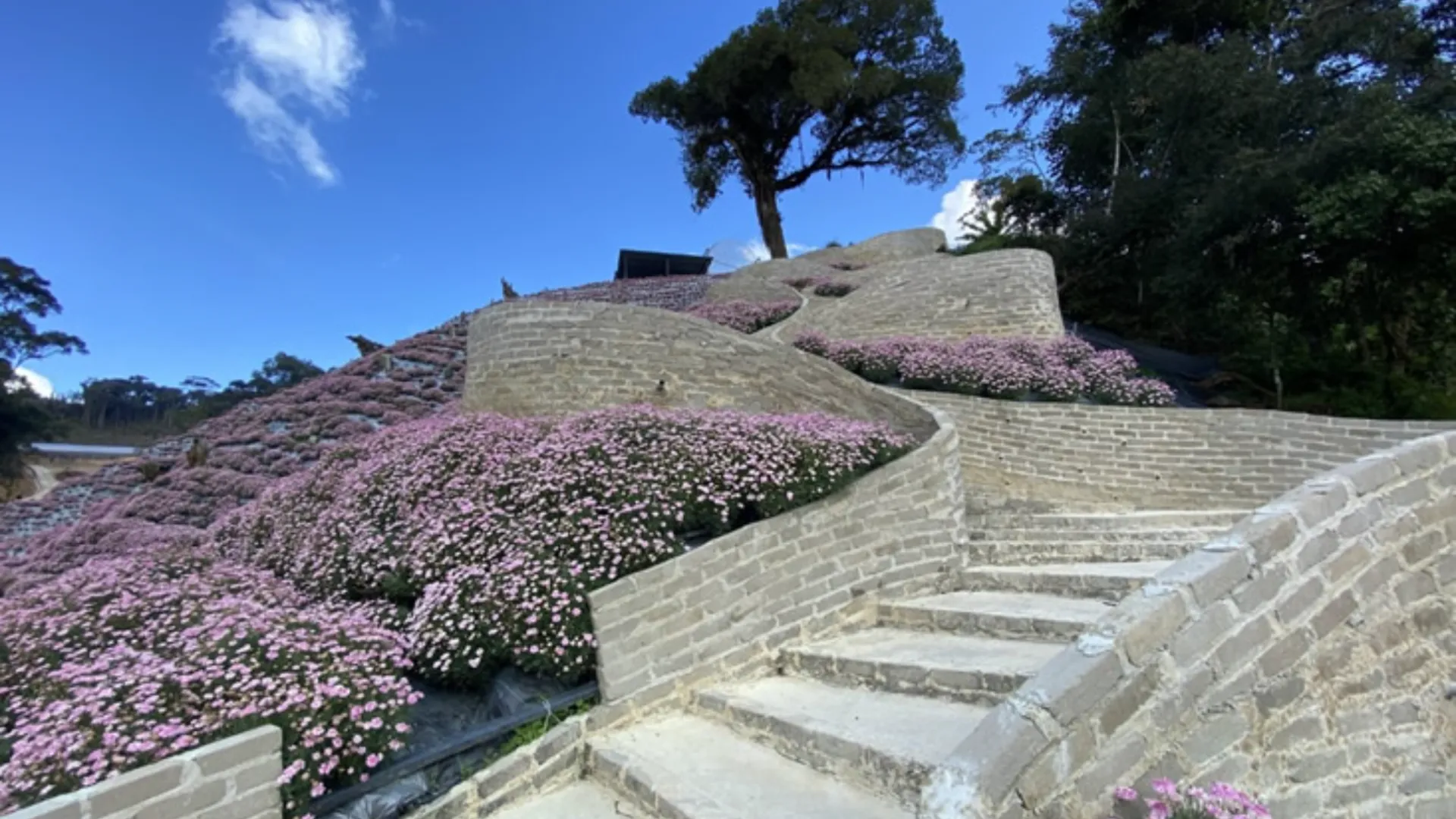 카메론 하일랜즈 브린창의 아파트먼트 (51m², 침실 1개, 프라이빗 욕실 1개) 3성급 싱글룸 수영장