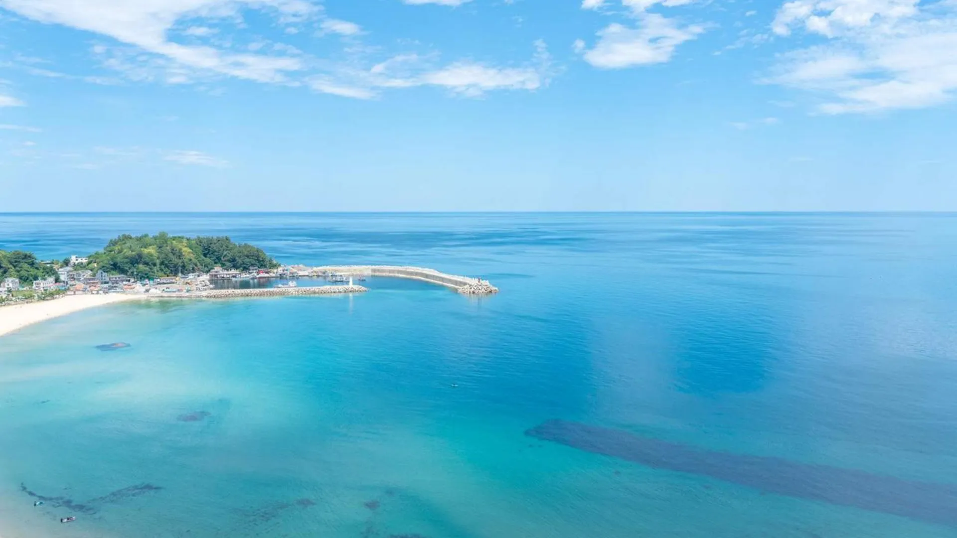 양양 양양 더오션 바이오너스 호텔 호텔 전망