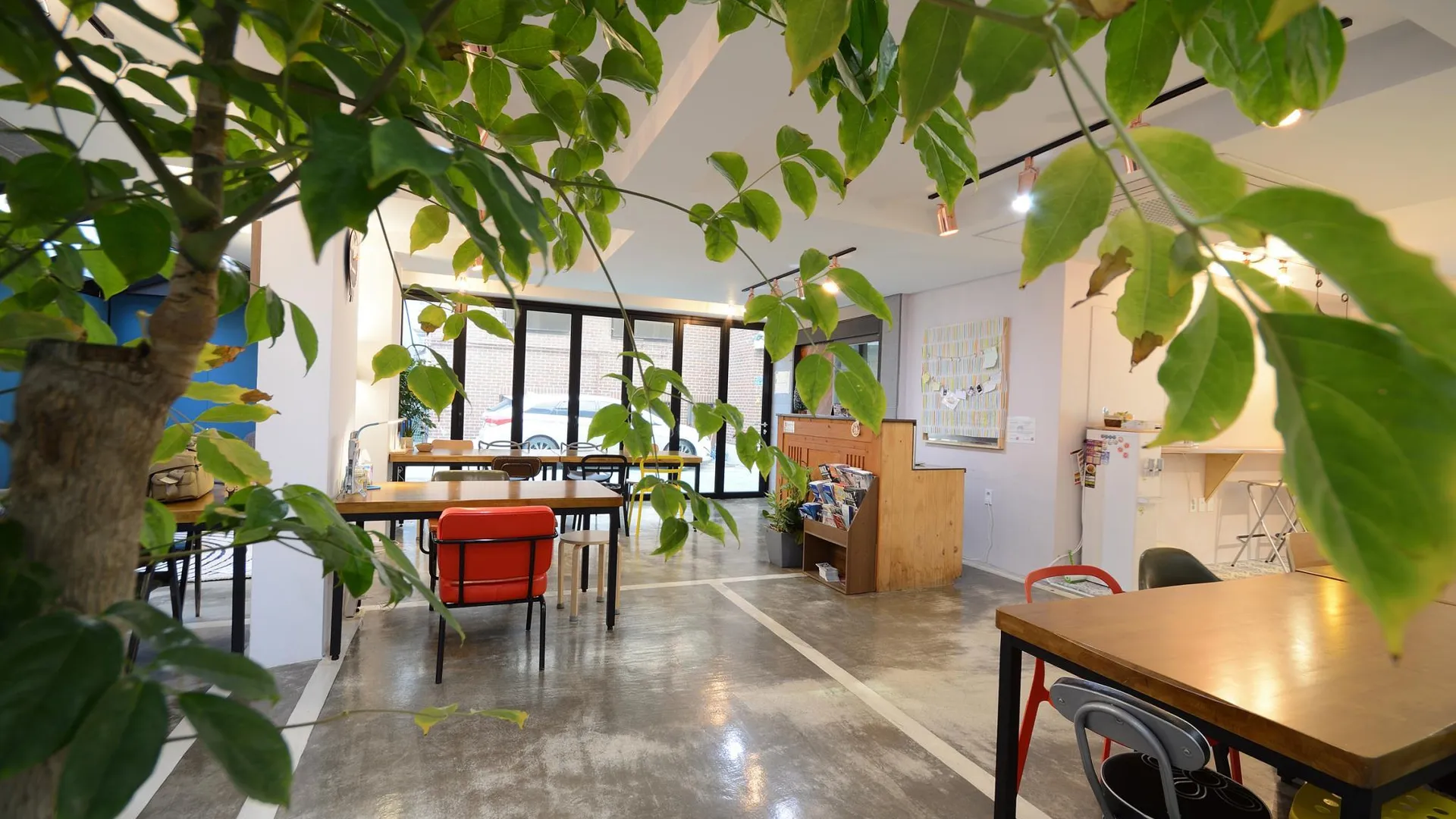 서울 Sunnyhill Hostel Hongdae 1성급 호텔 객실