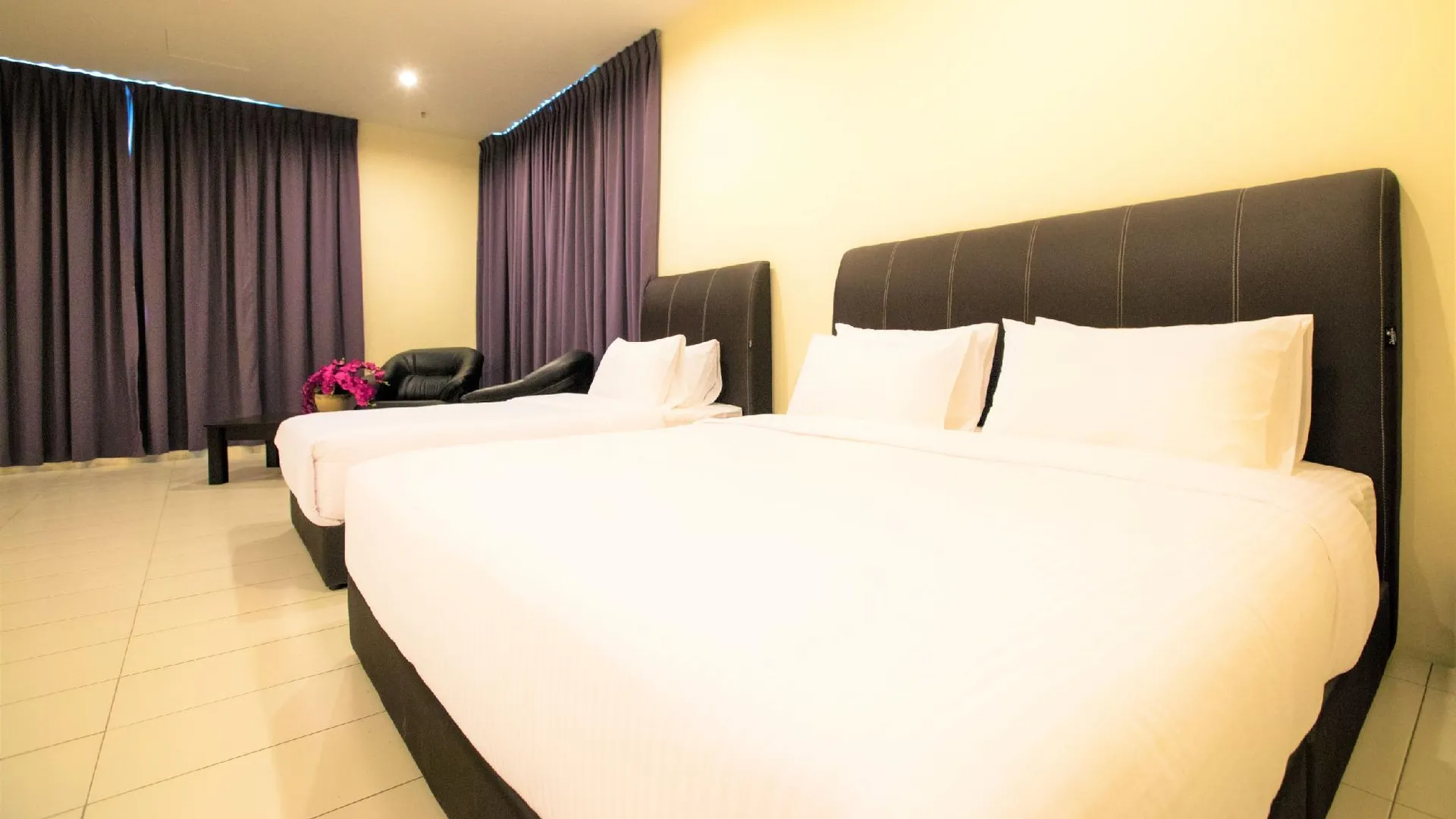 제란툿 파크 뷰 호텔 호텔 전망