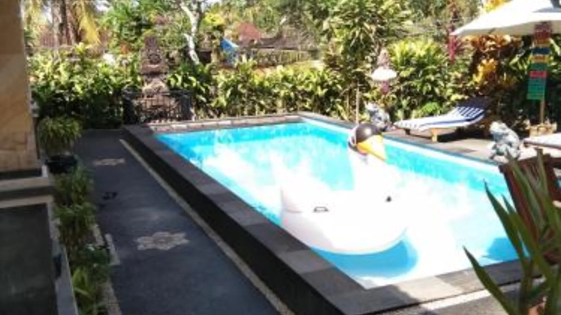 발리 SunWuKong Guest House 5성급 게스트하우스 부대시설