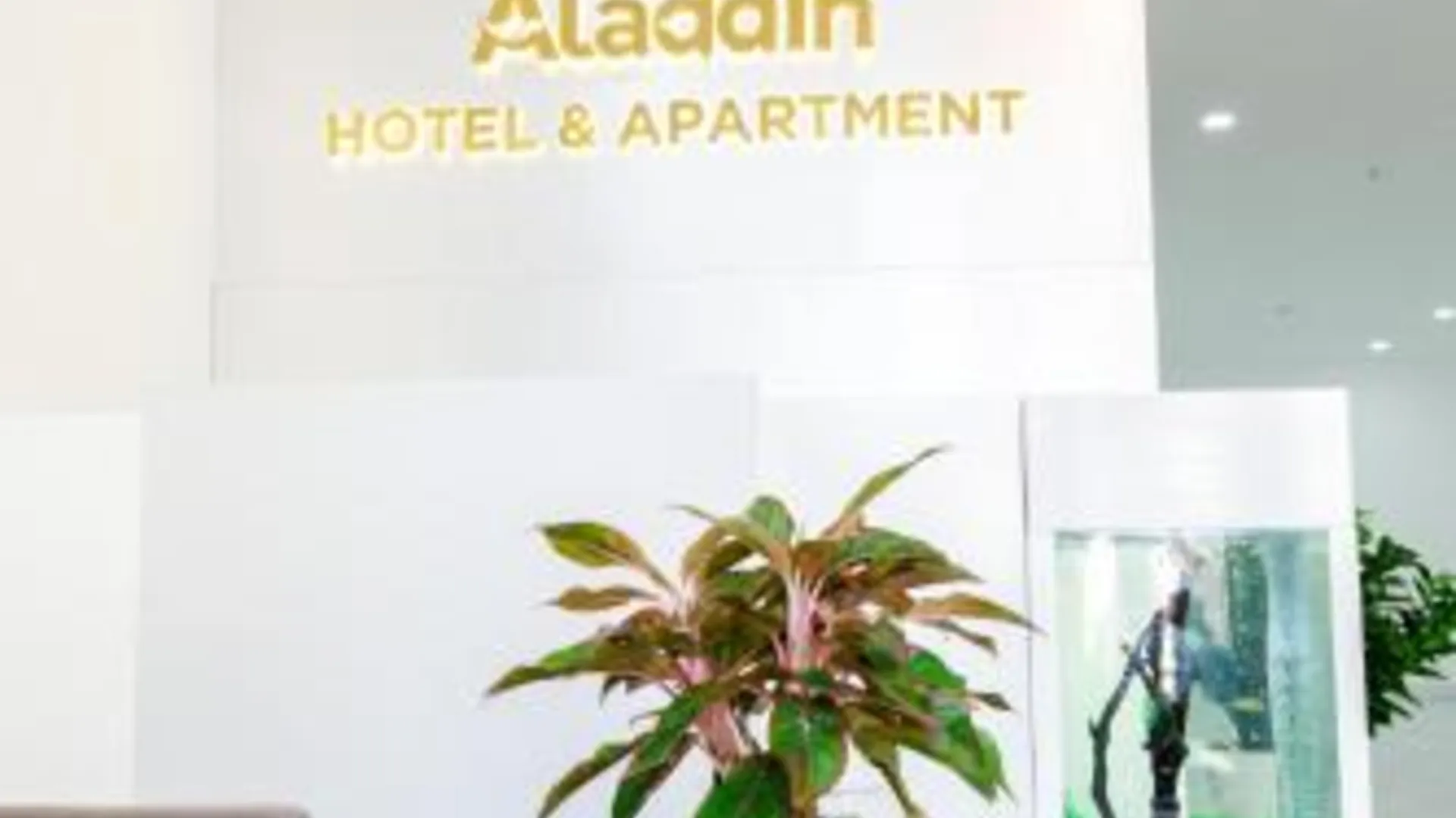 호치민 Aladdin Hotel 3성급 호텔 수영장