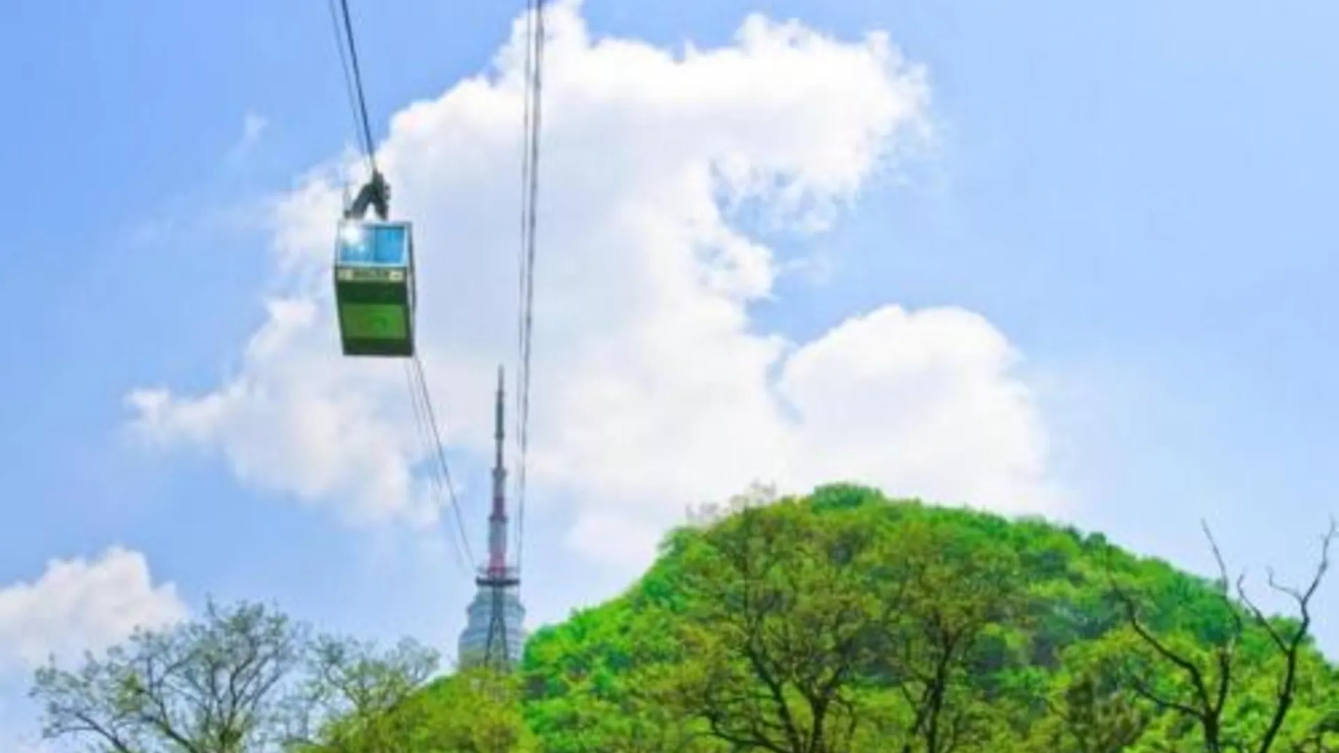 서울 신당 알마 호텔 호텔 레스토랑