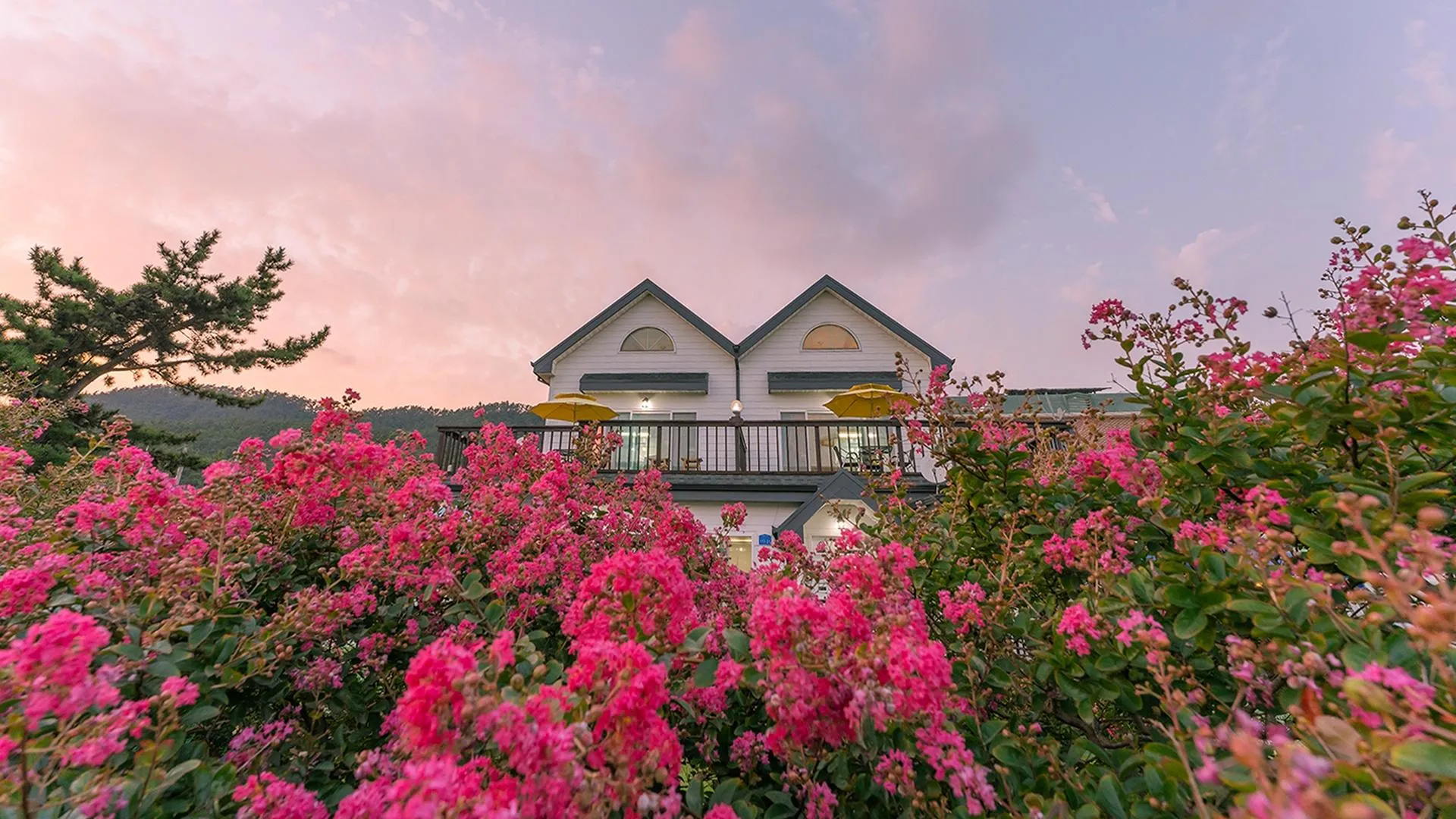 보령 보령 파도와함께하는펜션 3성급 게스트하우스 전망